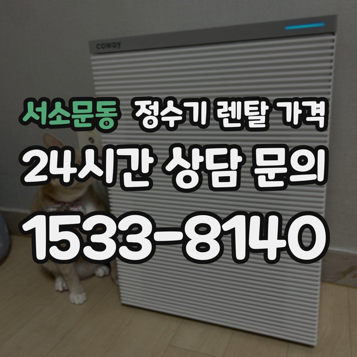 서소문동 정수기 렌탈 가격 설치 위치에 따라 체감 만족도가 달라지는 이유