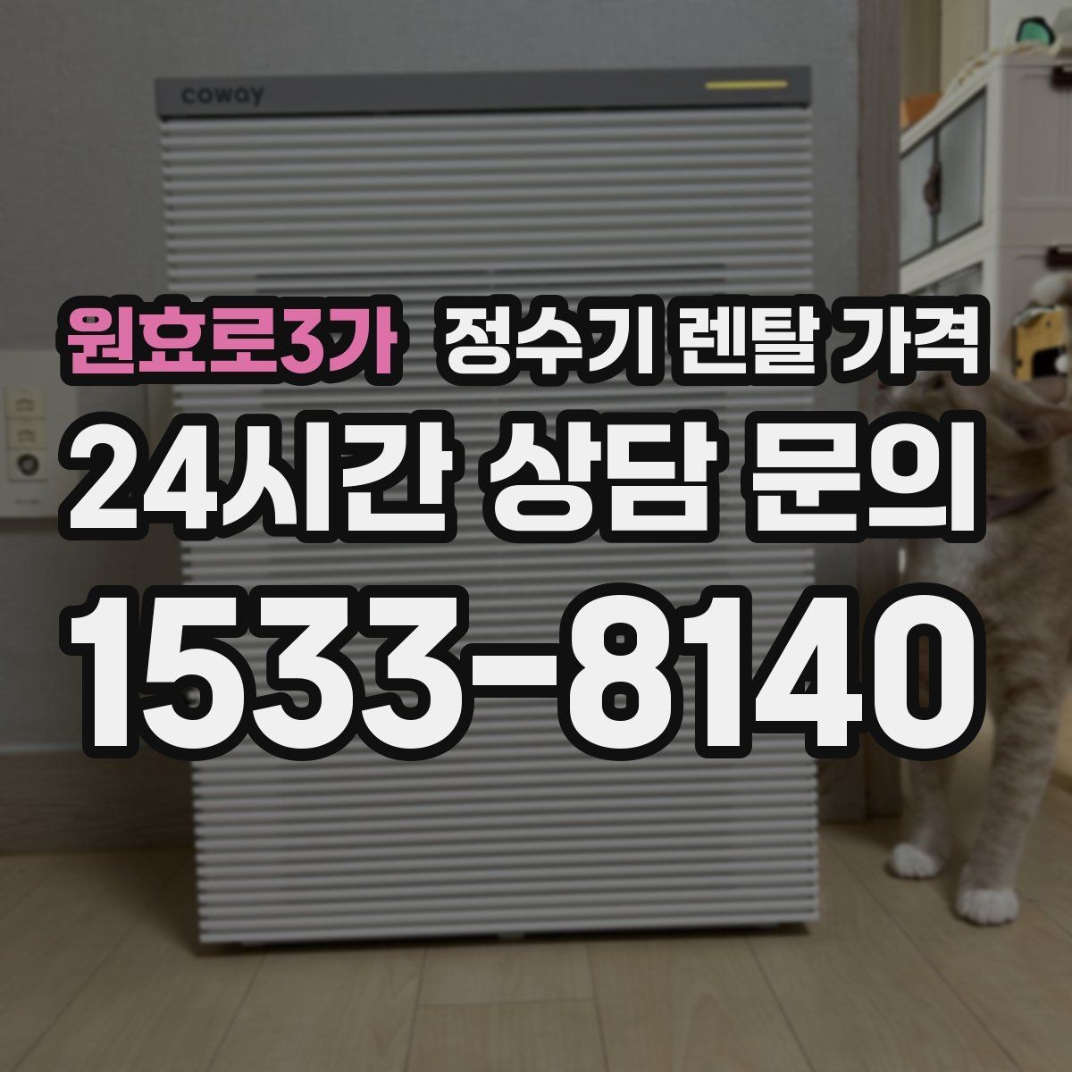 원효로3가 정수기 렌탈 가격 냉온 기능 사용량에 따라 달라지는 체감 비용