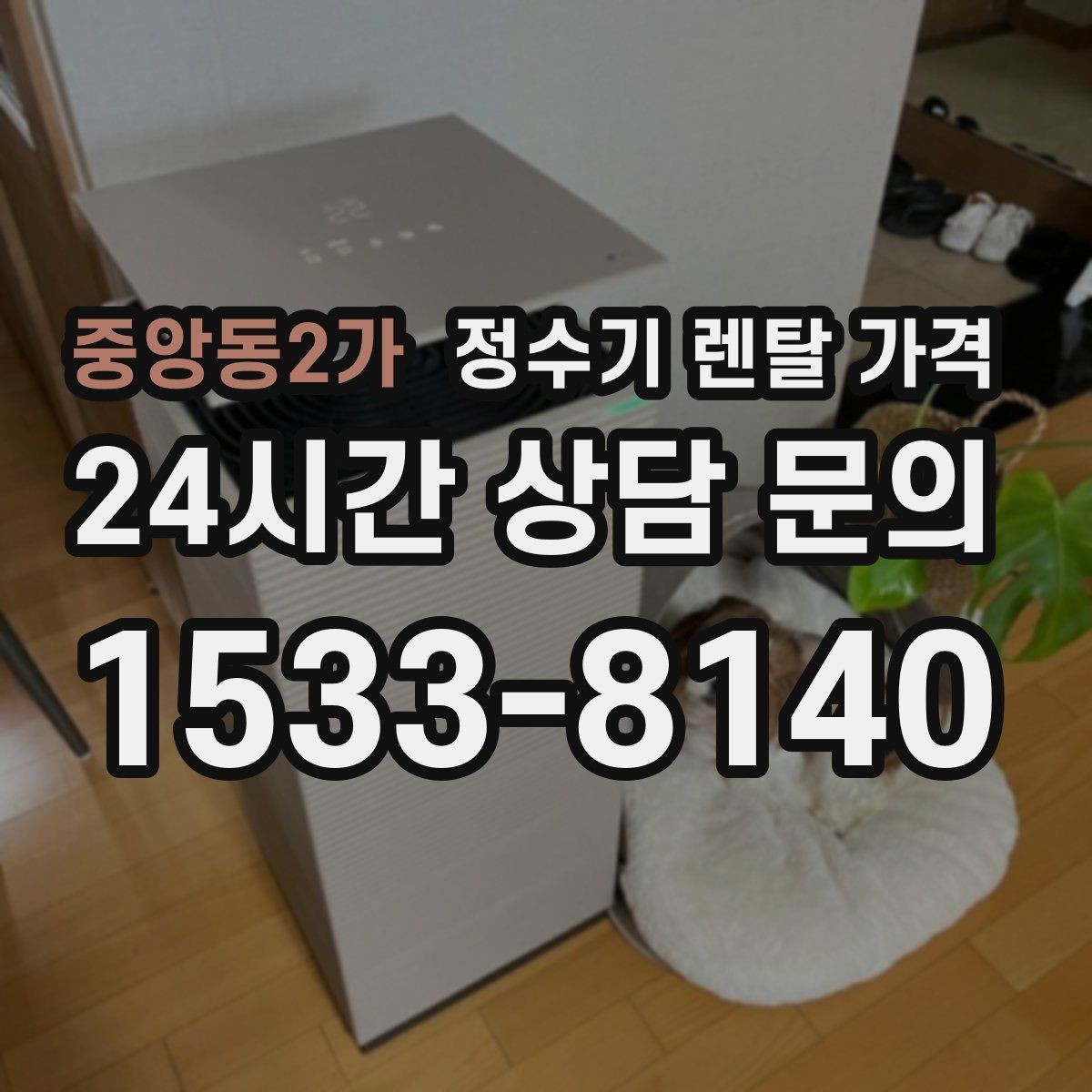 중앙동2가 정수기 렌탈 가격 탄산 기능까지 있으면 어떻게 달라질까