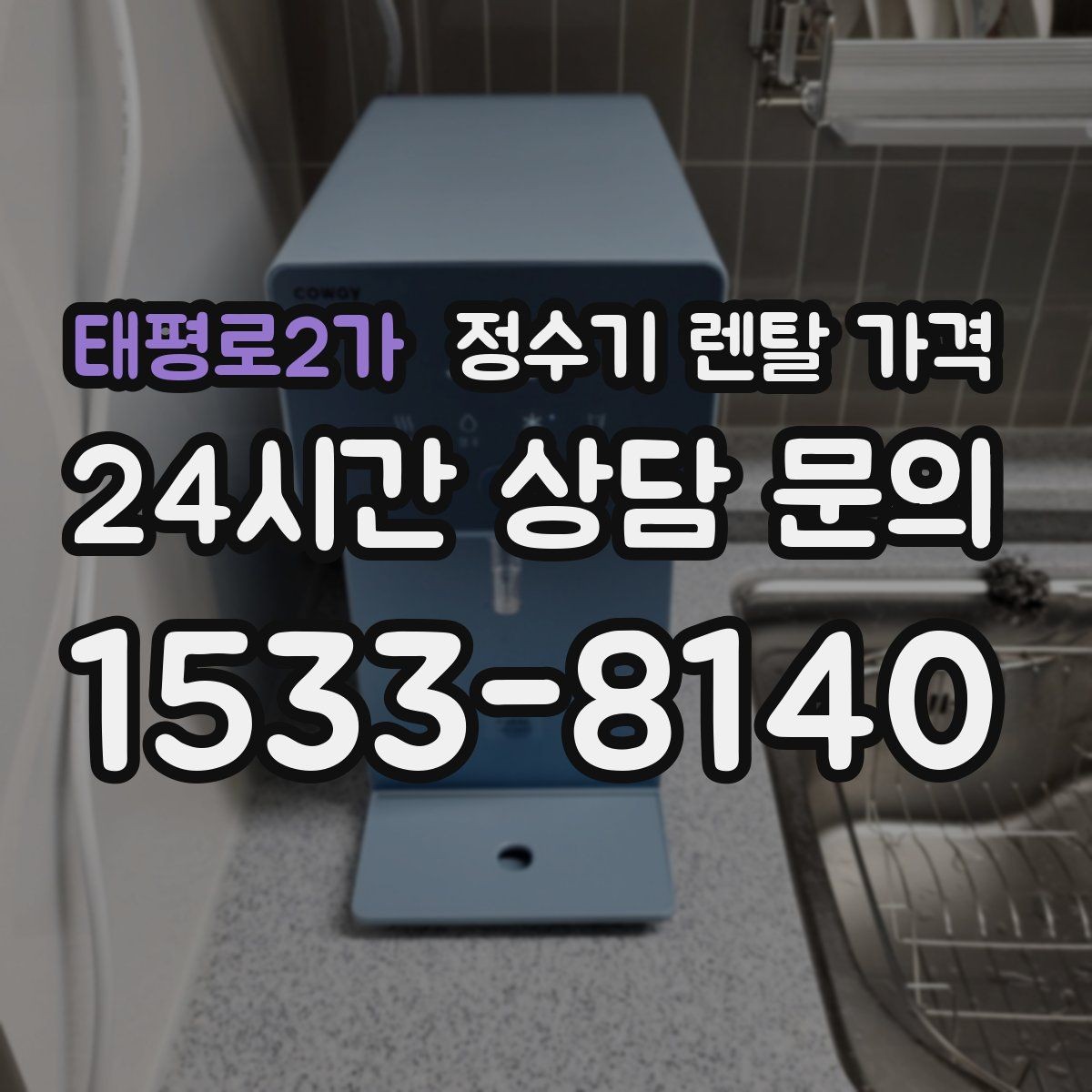 태평로2가 정수기 렌탈 가격 전문 설치가 필요한 이유