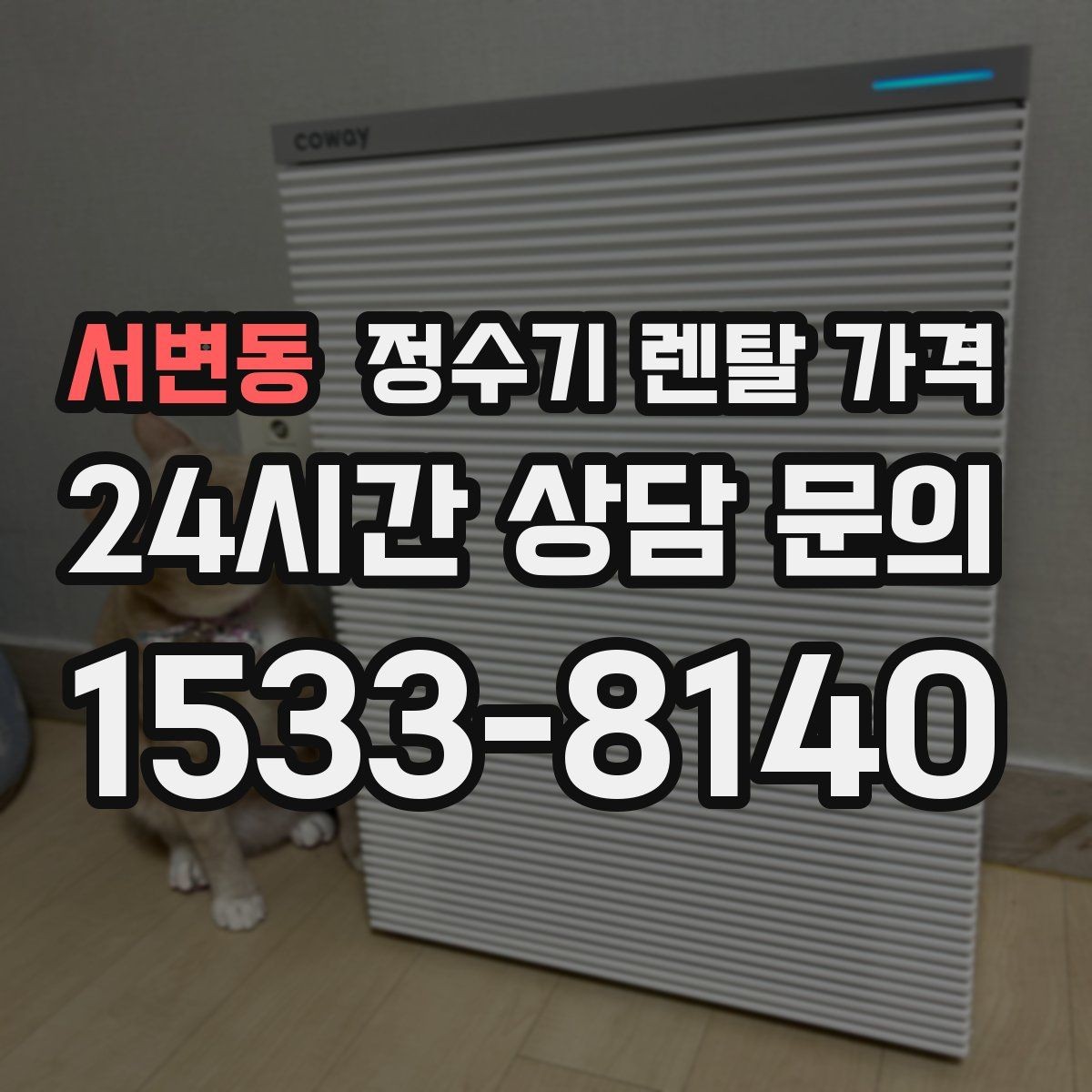 서변동 정수기 렌탈 가격 렌탈에서 구매 전환을 고민할 때