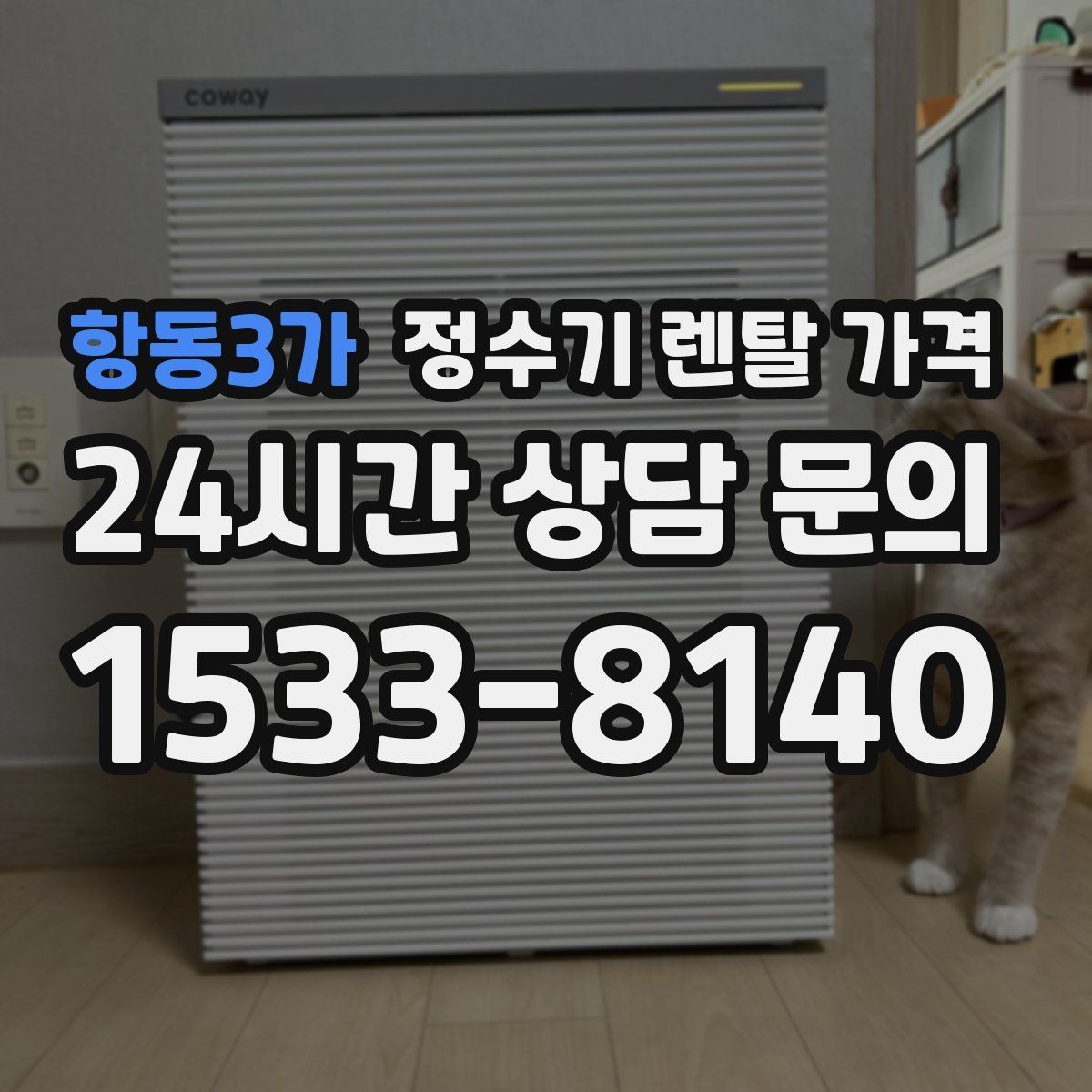 항동3가 정수기 렌탈 가격 월말 설치와 월초 설치 차이 정리