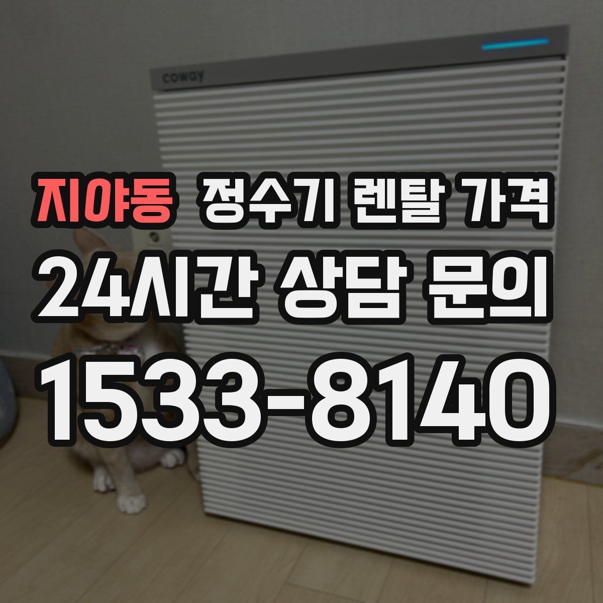 지야동 정수기 렌탈 가격 필터 교체 주기가 중요한 이유