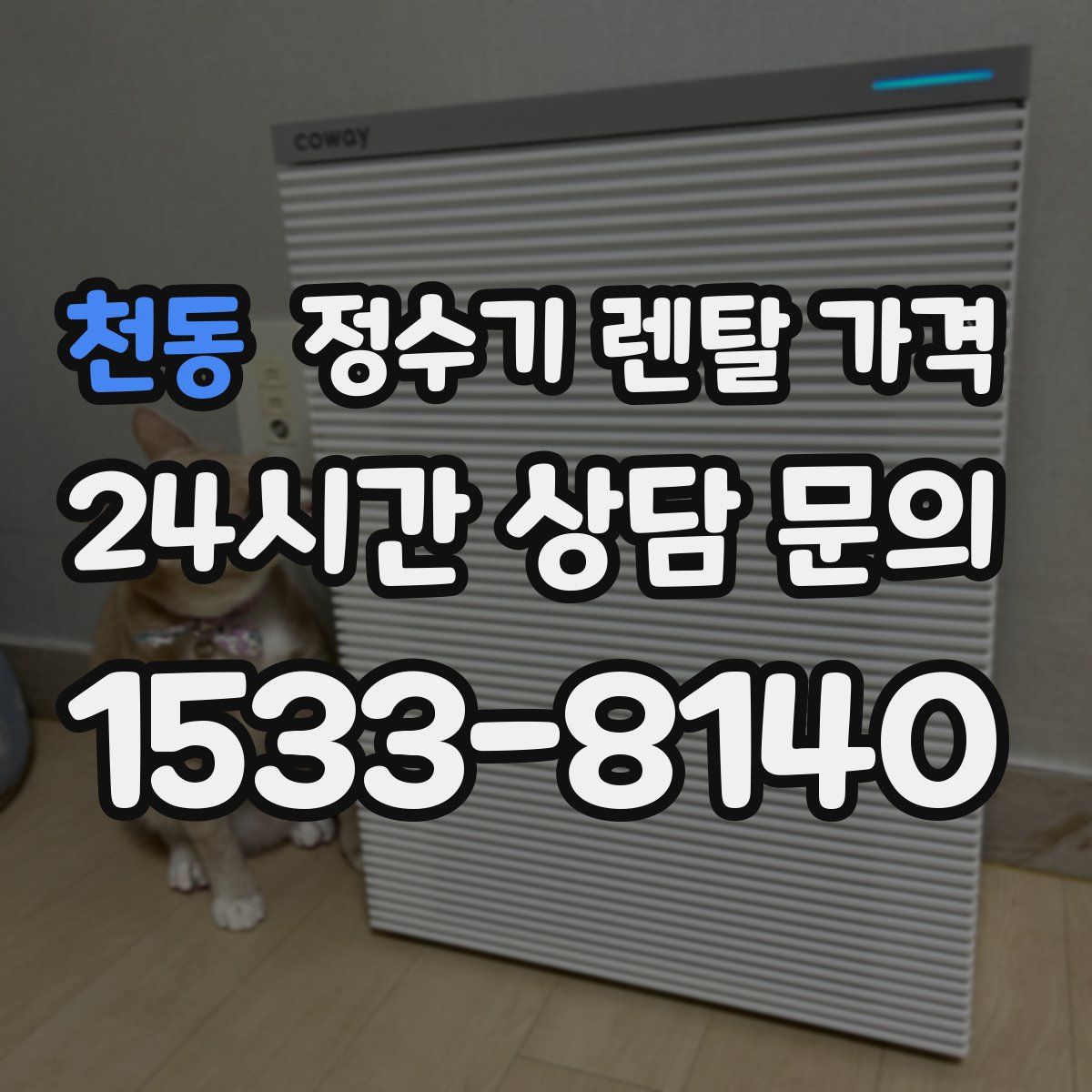 천동 정수기 렌탈 가격