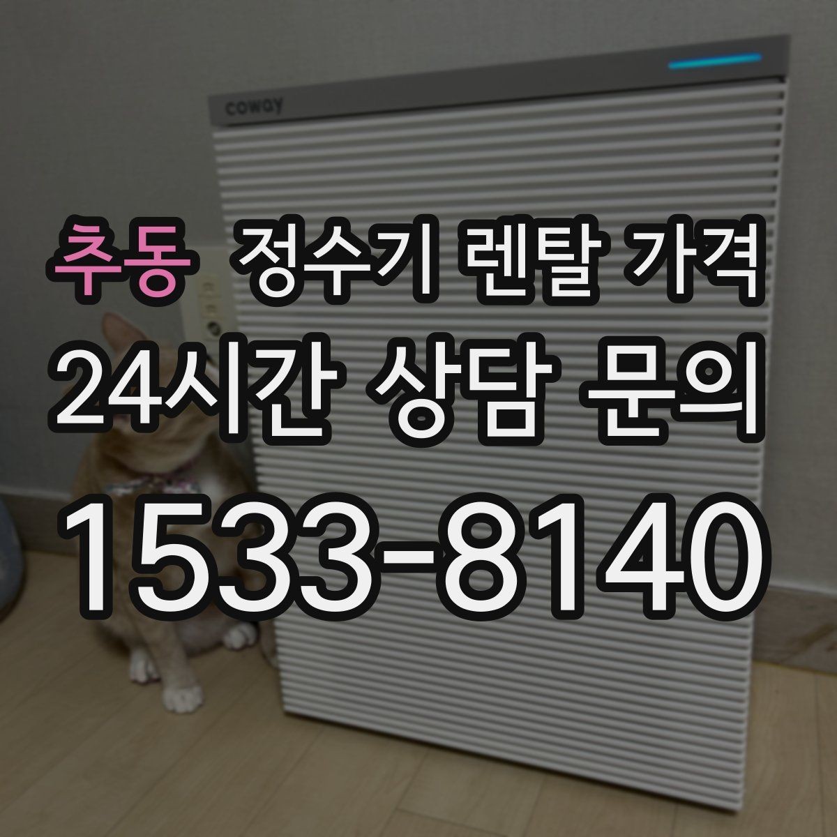 추동 정수기 렌탈 가격 위생 기능을 꼭 확인해야 하는 이유