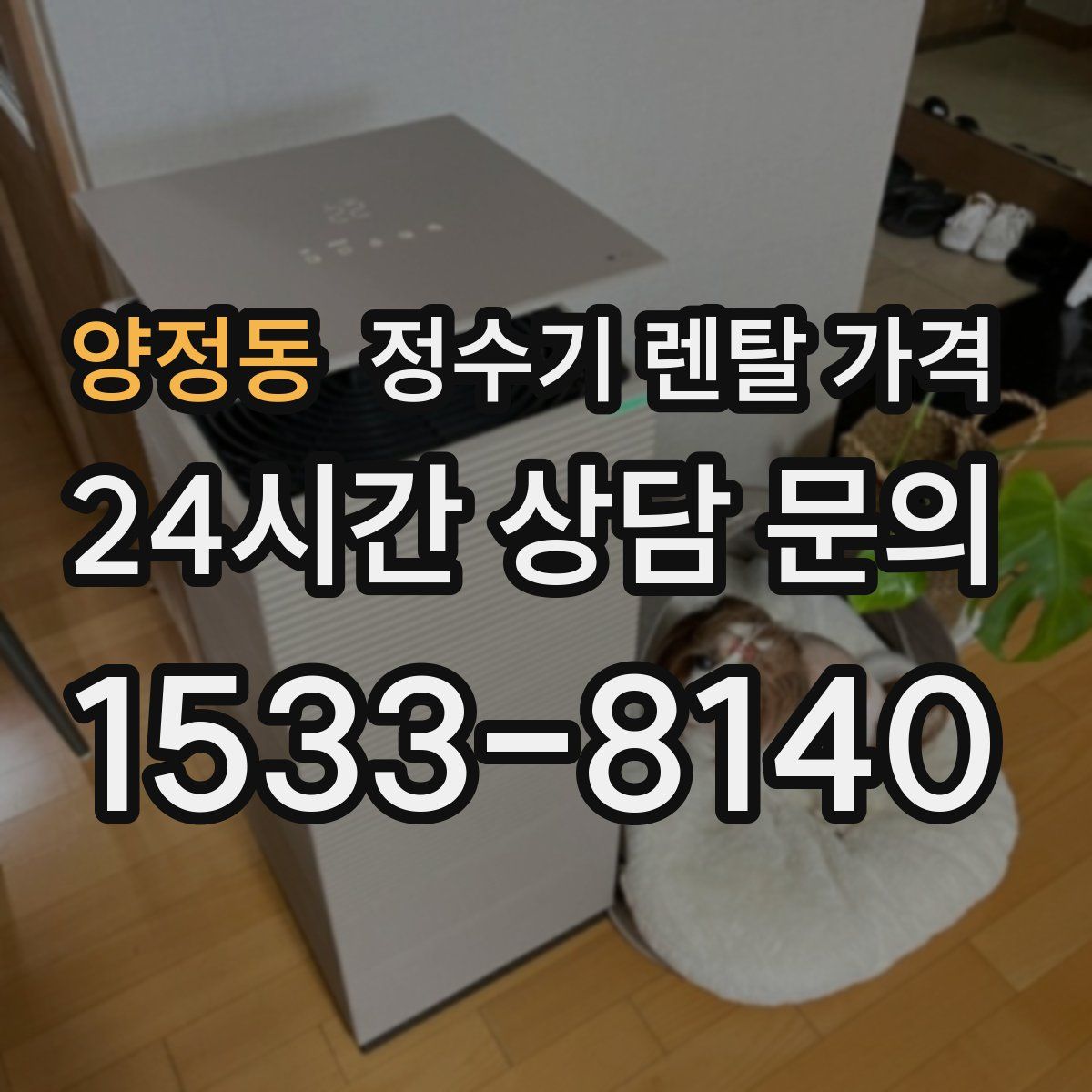 양정동 정수기 렌탈 가격