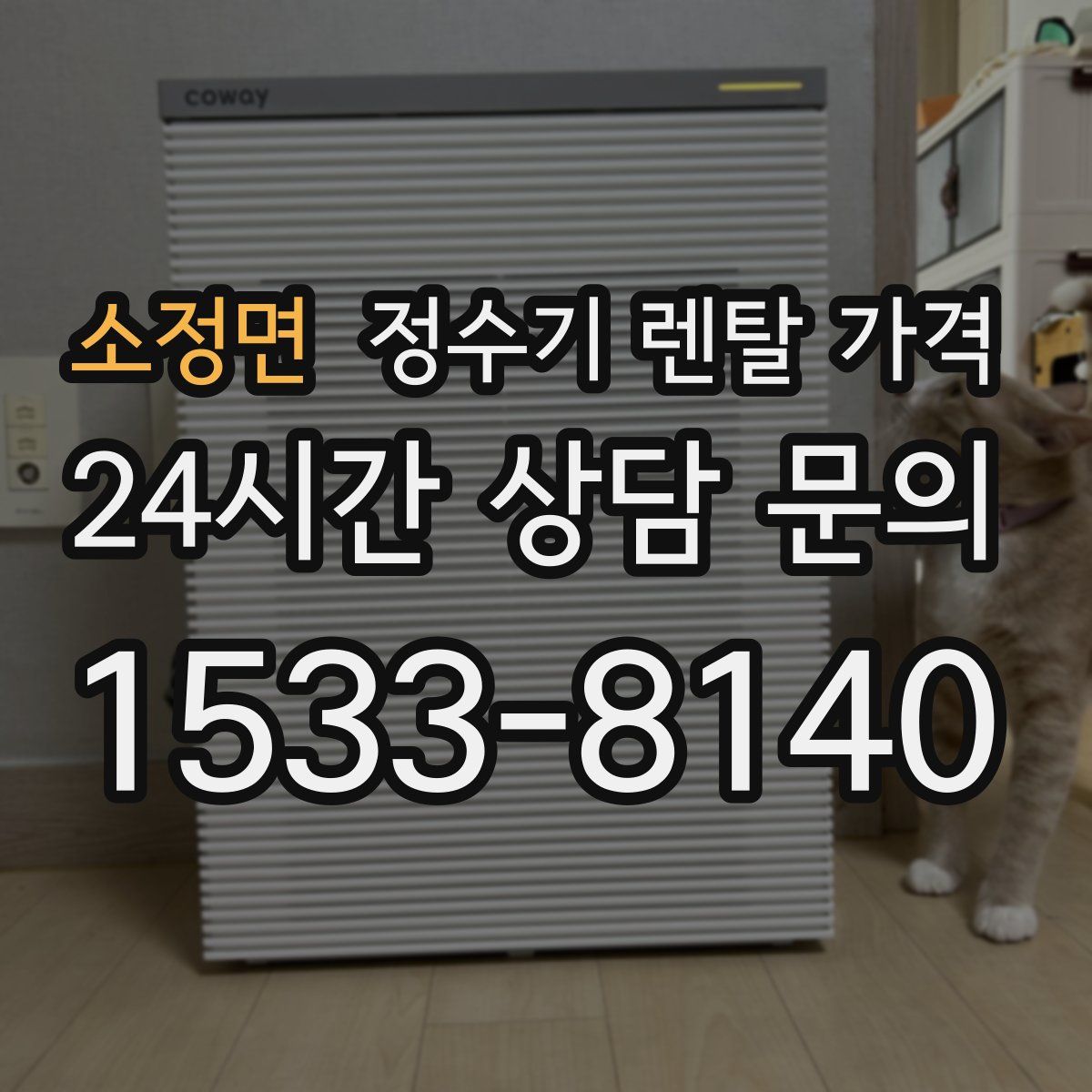 소정면 정수기 렌탈 가격
