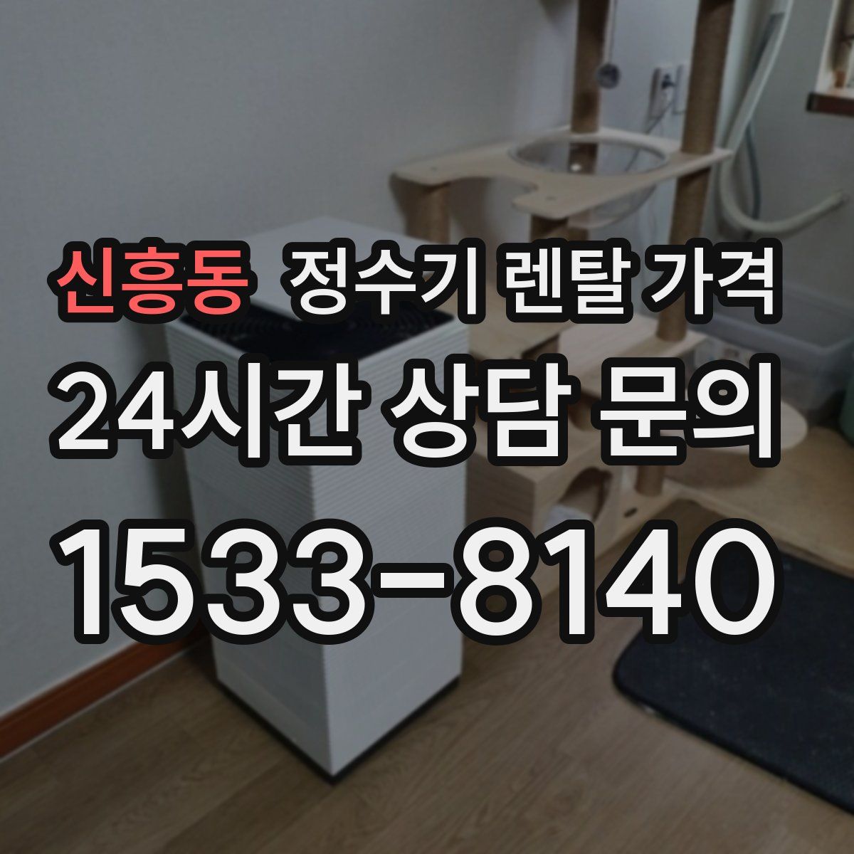 신흥동 정수기 렌탈 가격