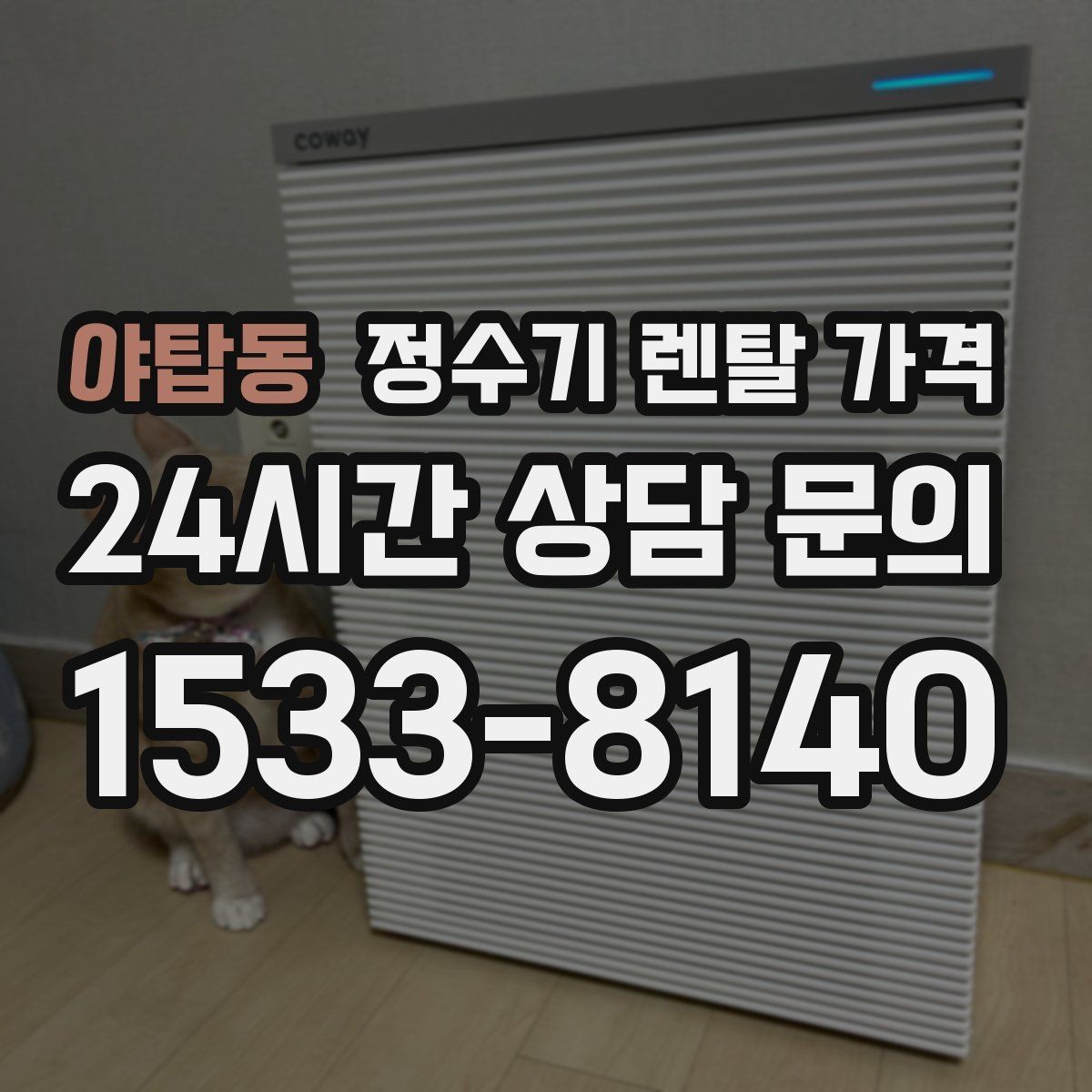 야탑동 정수기 렌탈 가격 약관에서 놓치기 쉬운 부분