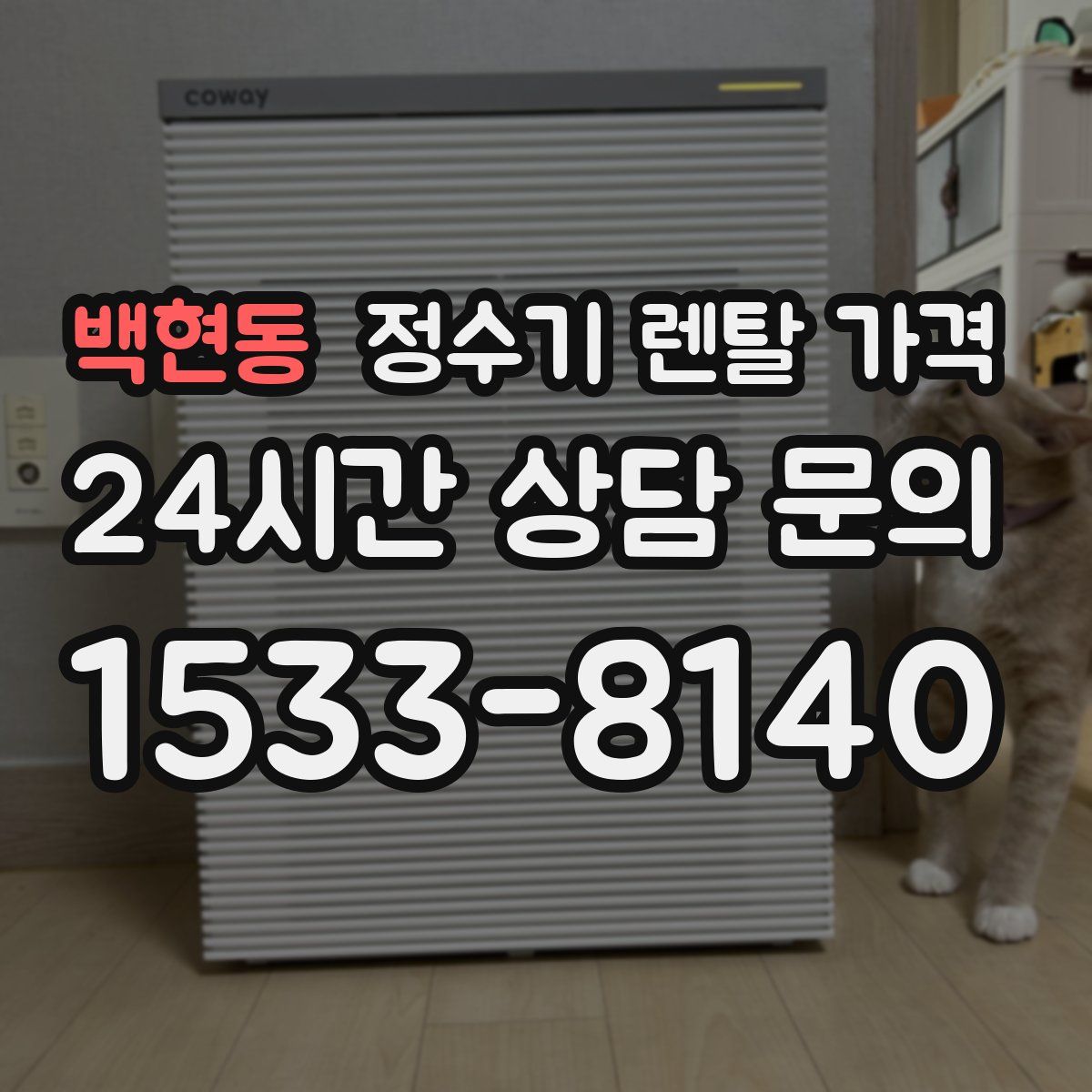 백현동 정수기 렌탈 가격