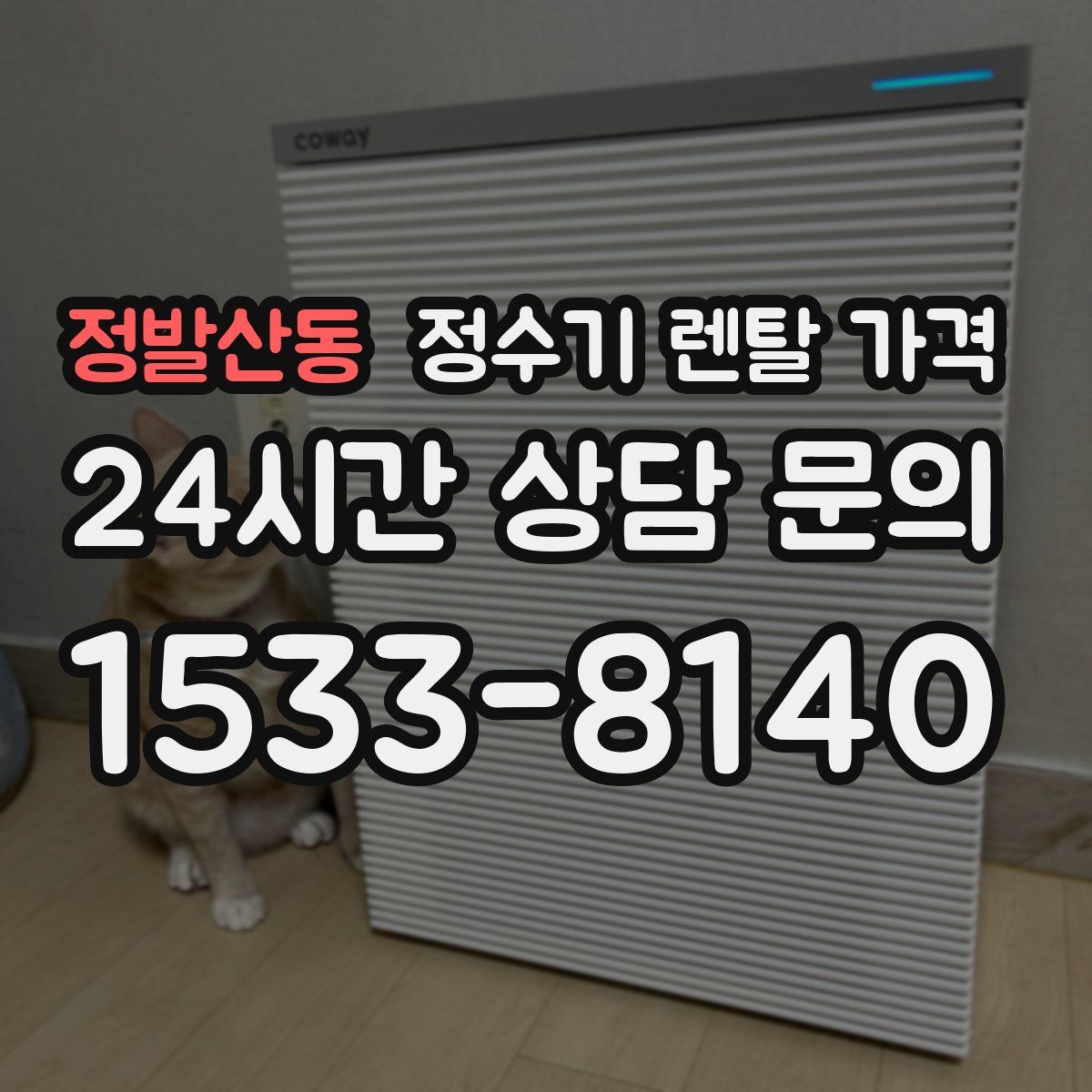 정발산동 정수기 렌탈 가격
