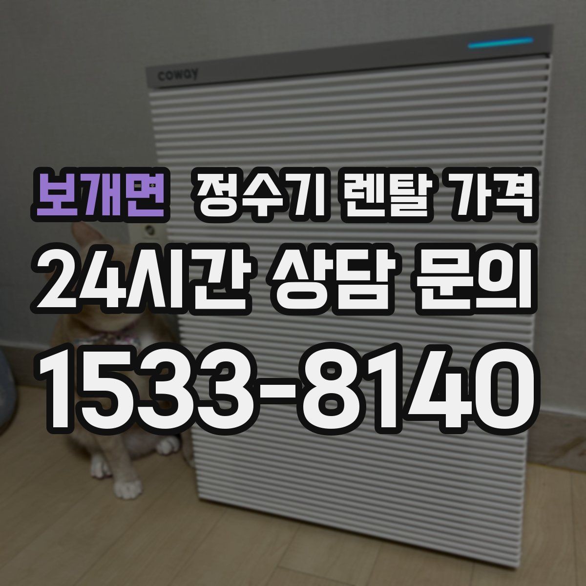 보개면 정수기 렌탈 가격 월 요금 차이가 생기는 이유 알아보기