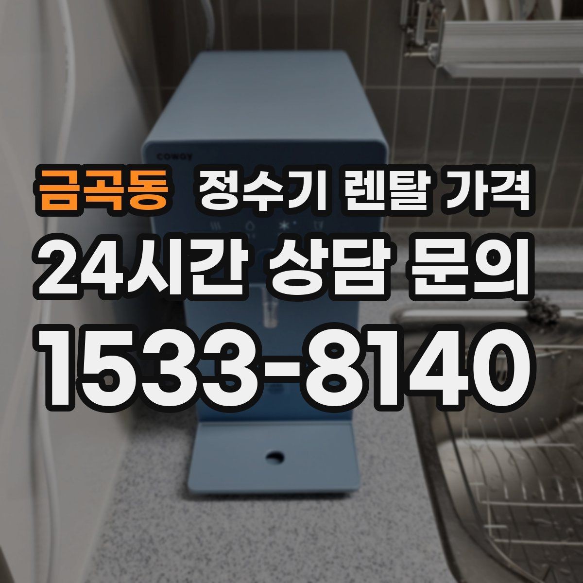 금곡동 정수기 렌탈 가격 전문 설치가 필요한 이유