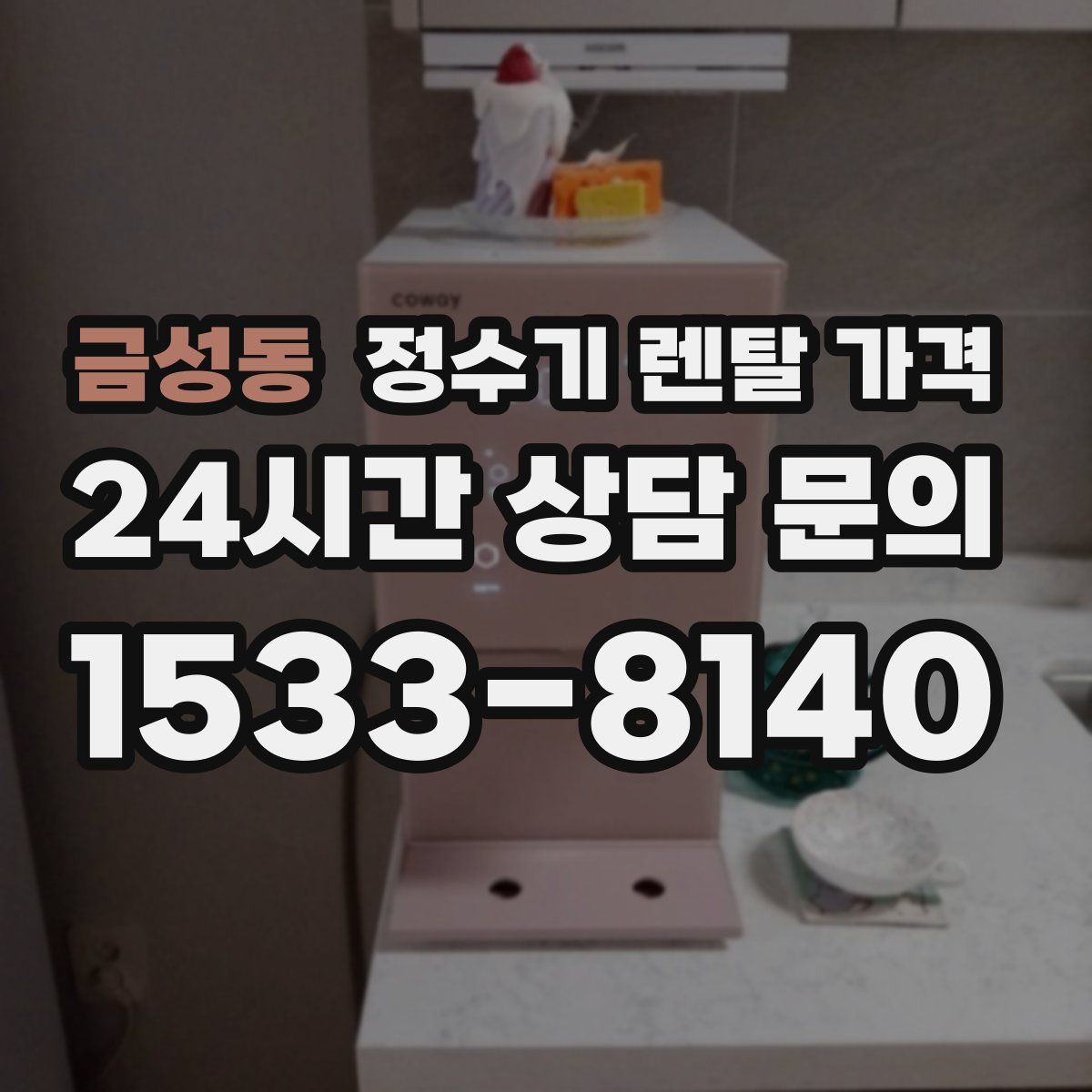 금성동 정수기 렌탈 가격