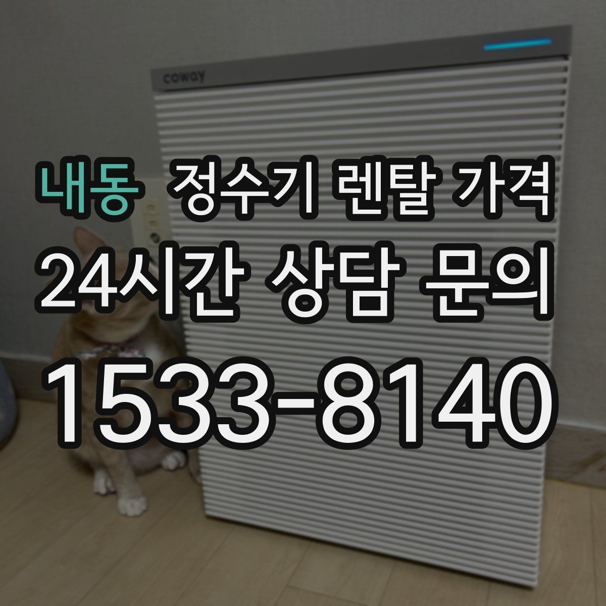 내동 정수기 렌탈 가격 고가 모델이 비싼 이유는 무엇일까