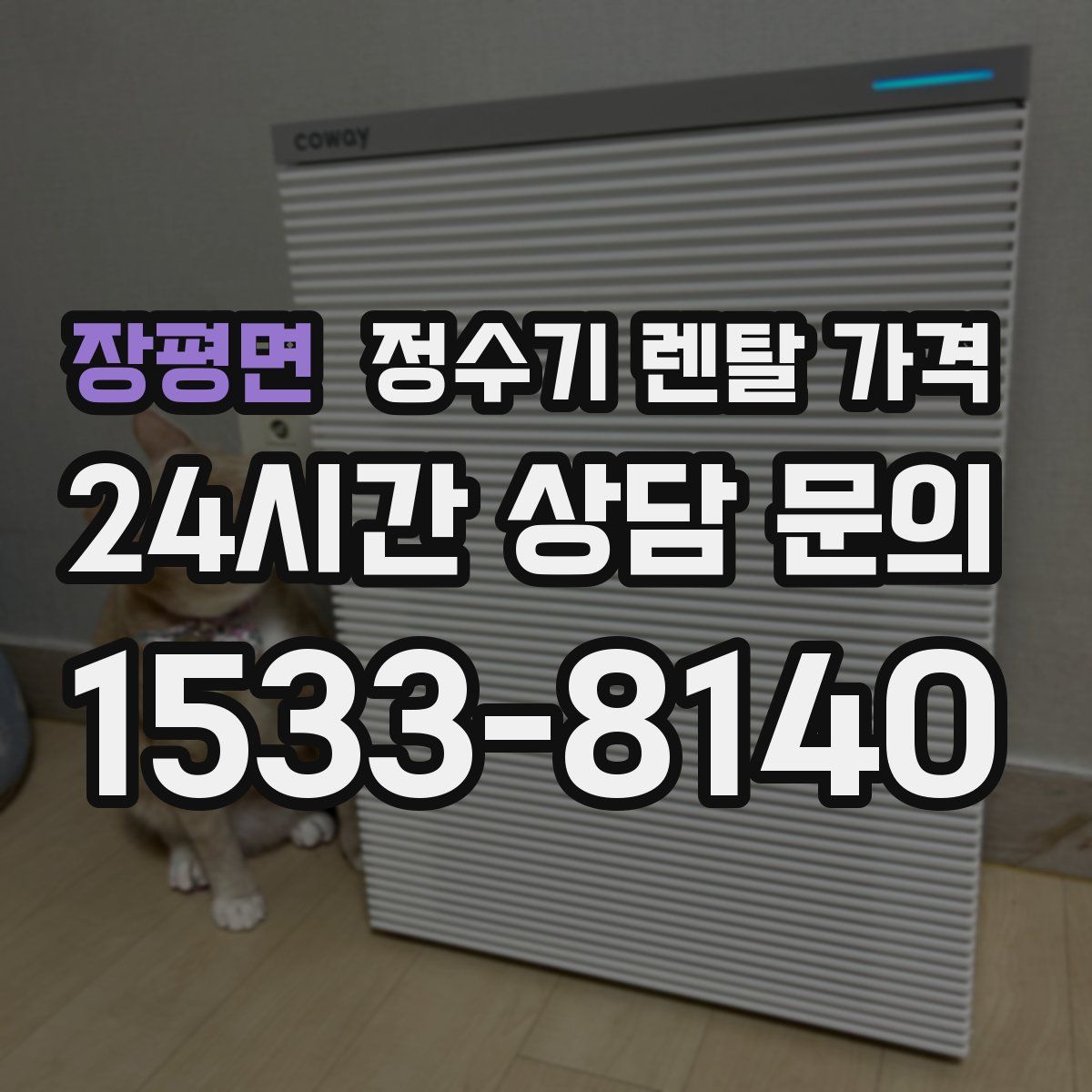 장평면 정수기 렌탈 가격