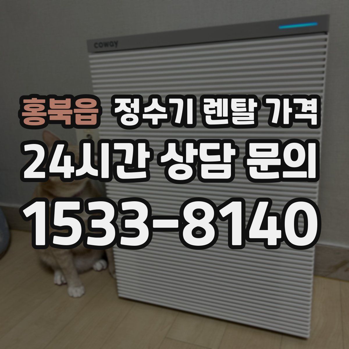 홍북읍 정수기 렌탈 가격