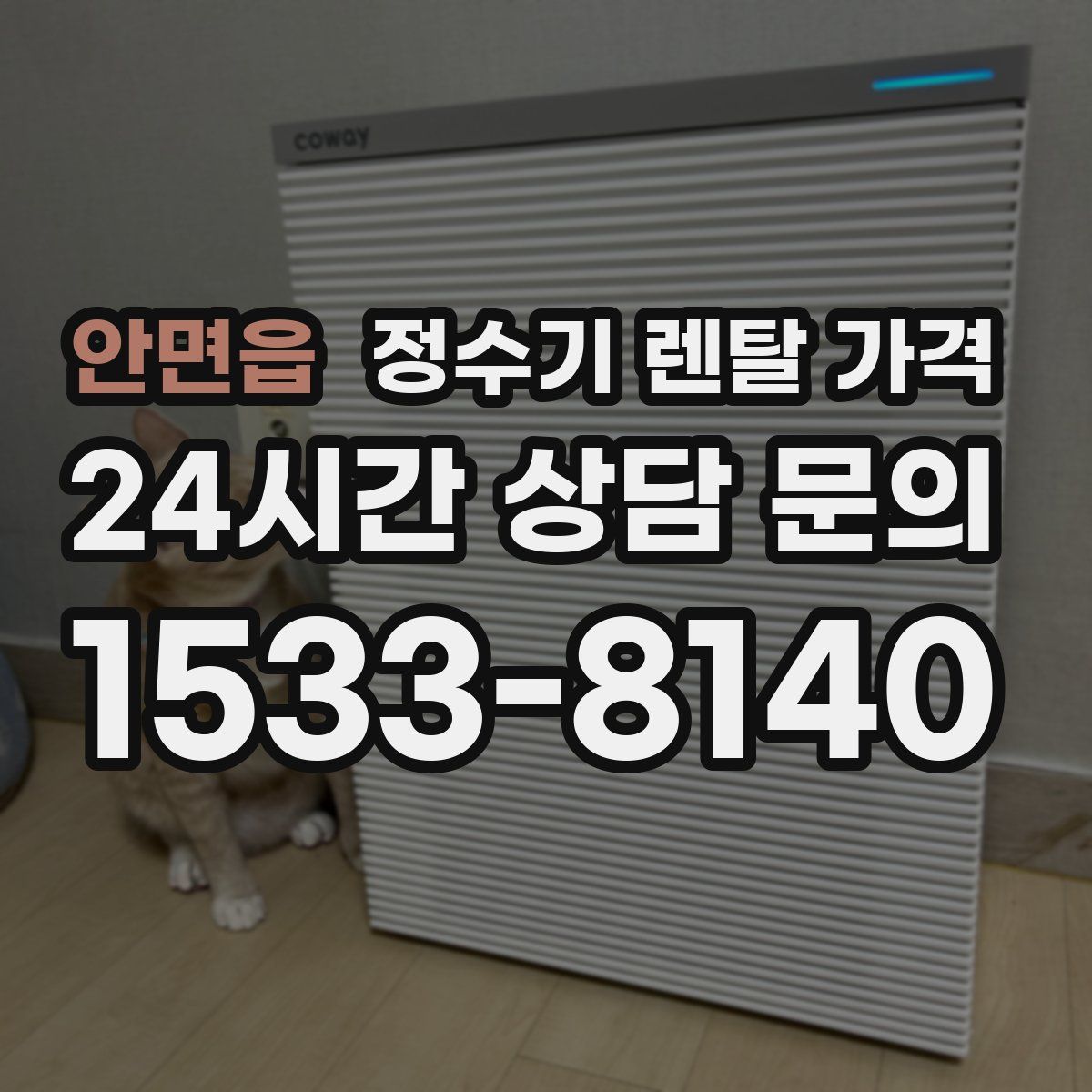 안면읍 정수기 렌탈 가격