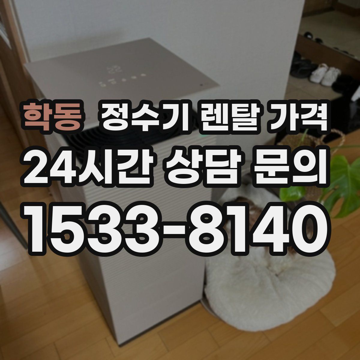 학동 정수기 렌탈 가격