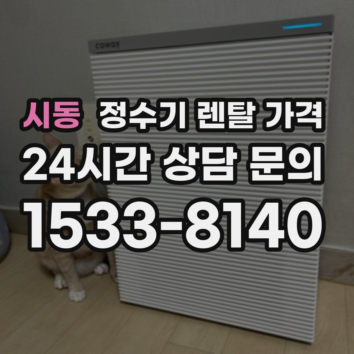 시동 정수기 렌탈 가격