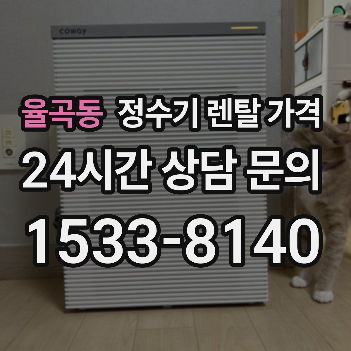 율곡동 정수기 렌탈 가격