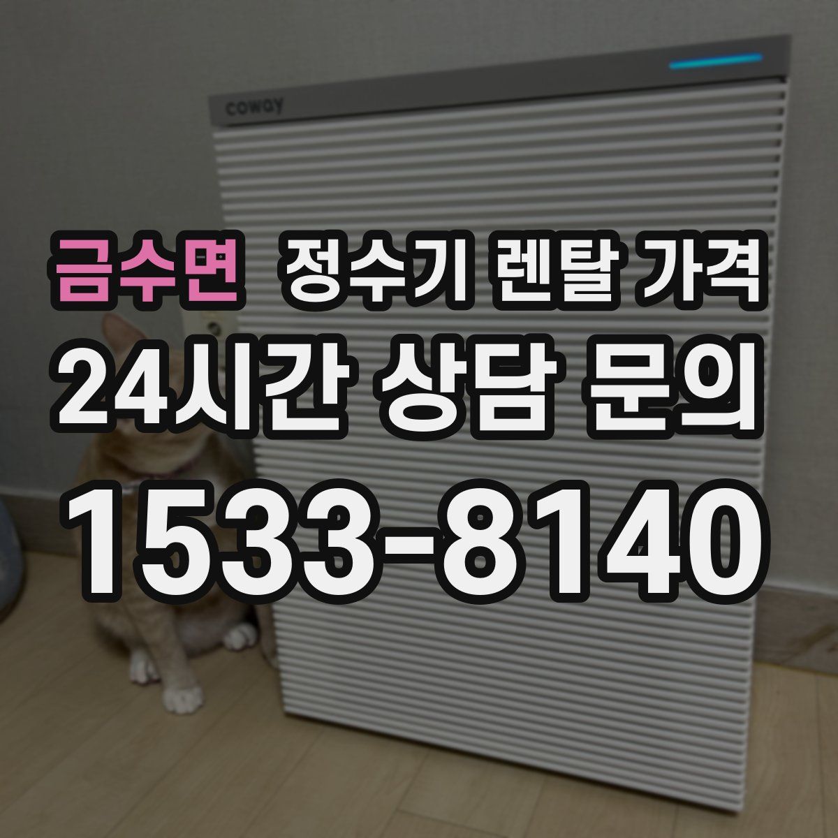 금수면 정수기 렌탈 가격