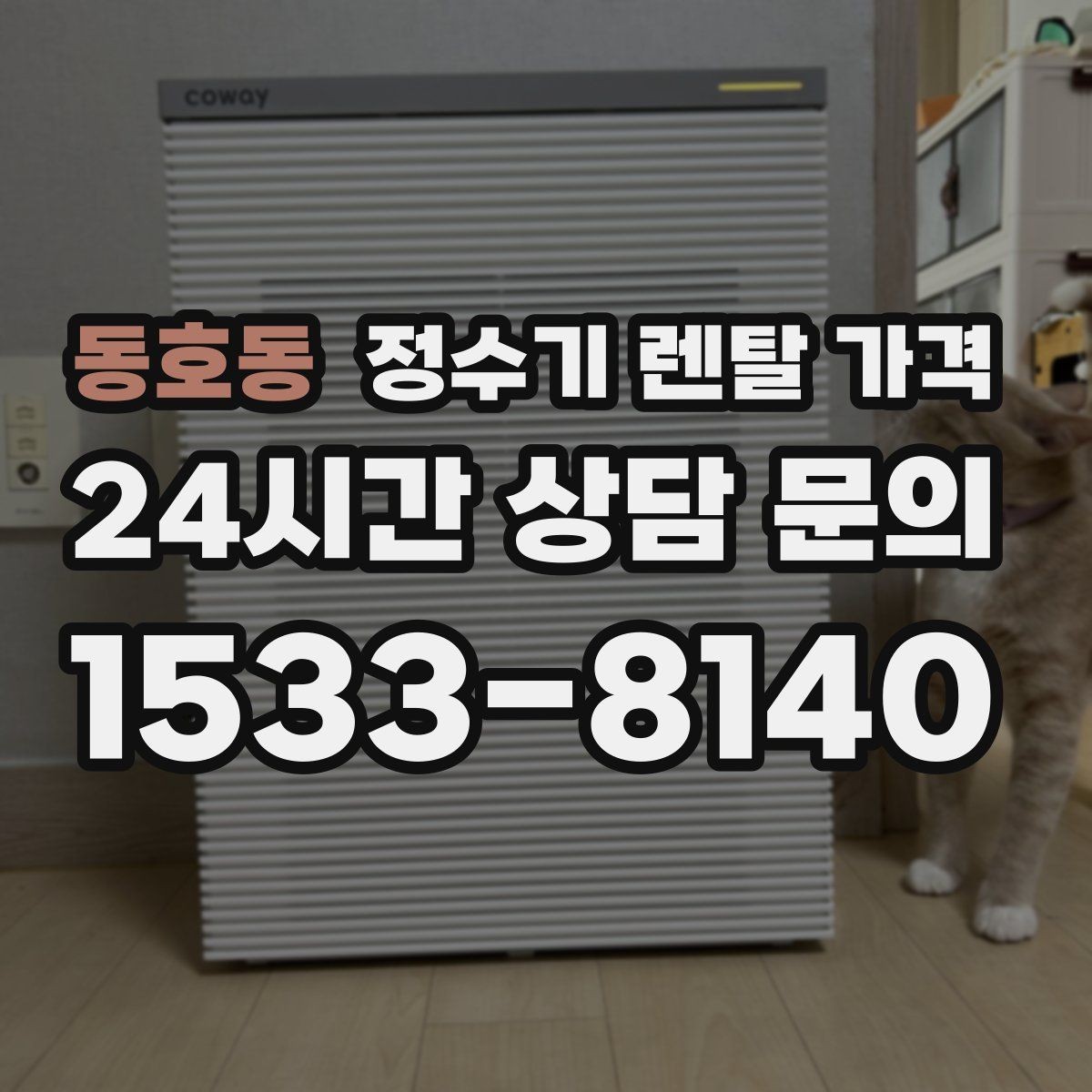 동호동 정수기 렌탈 가격 총비용 기준으로 비교해야 하는 이유