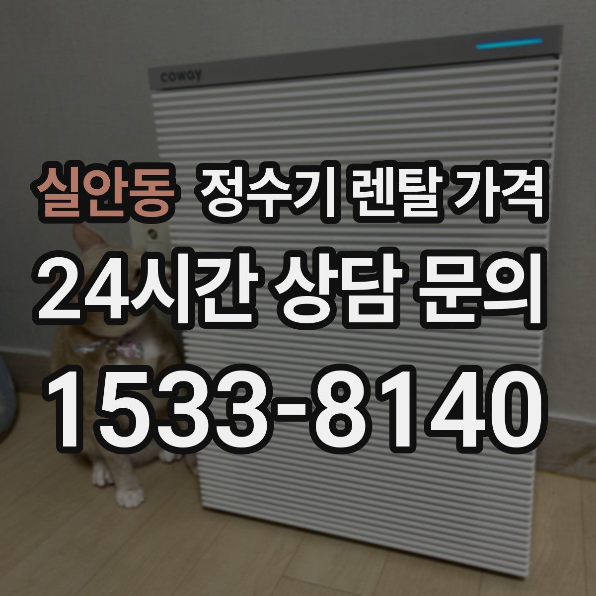 실안동 정수기 렌탈 가격