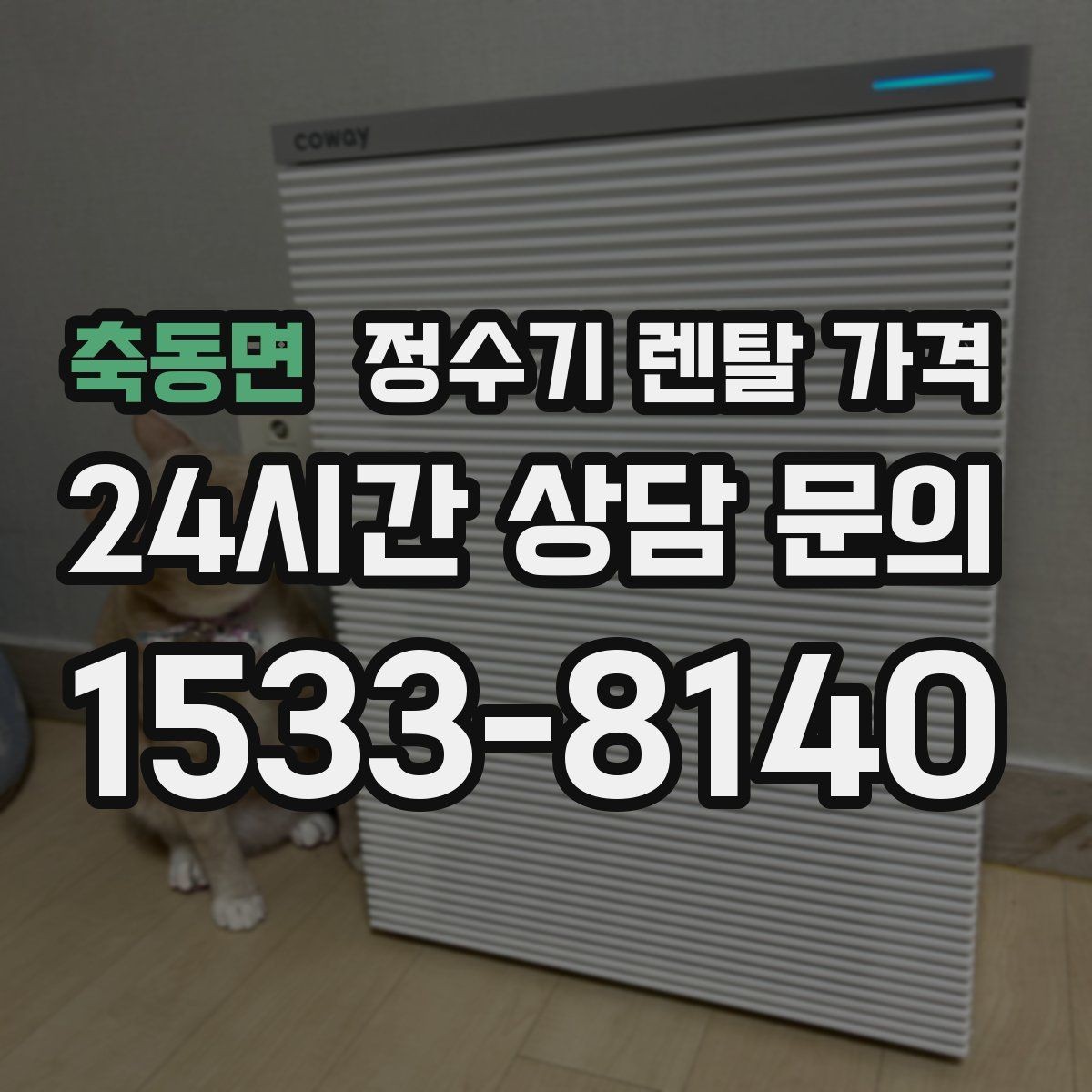 축동면 정수기 렌탈 가격 냉온정수기와 직수형 비교해보기