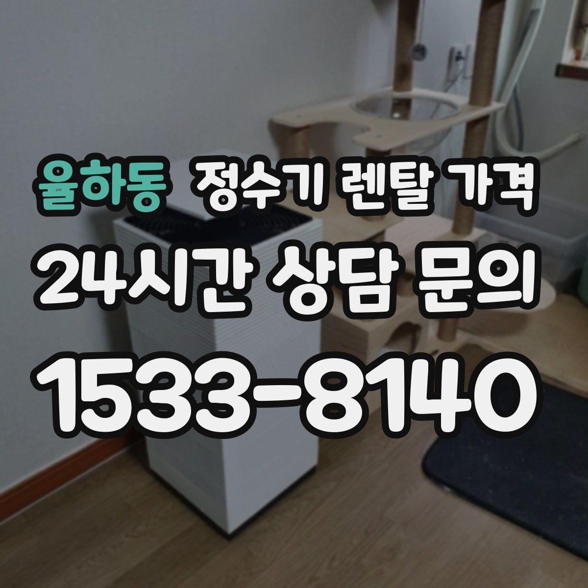 율하동 정수기 렌탈 가격 유지비까지 함께 보는 방법