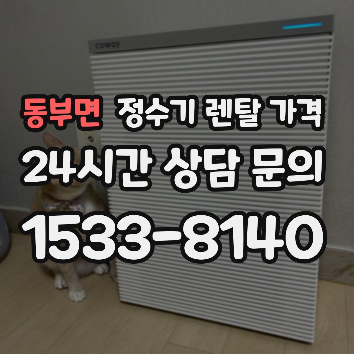 동부면 정수기 렌탈 가격