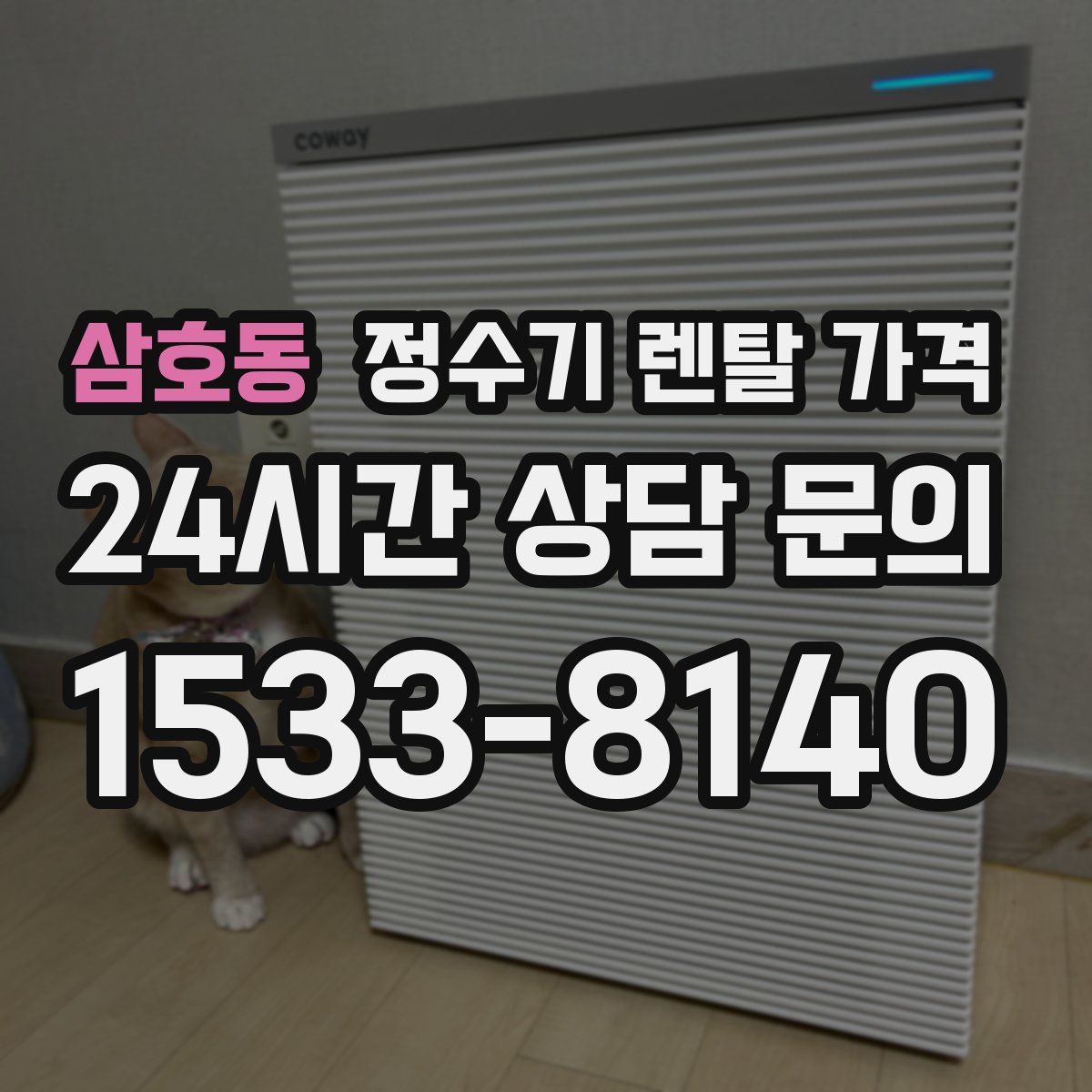 삼호동 정수기 렌탈 가격