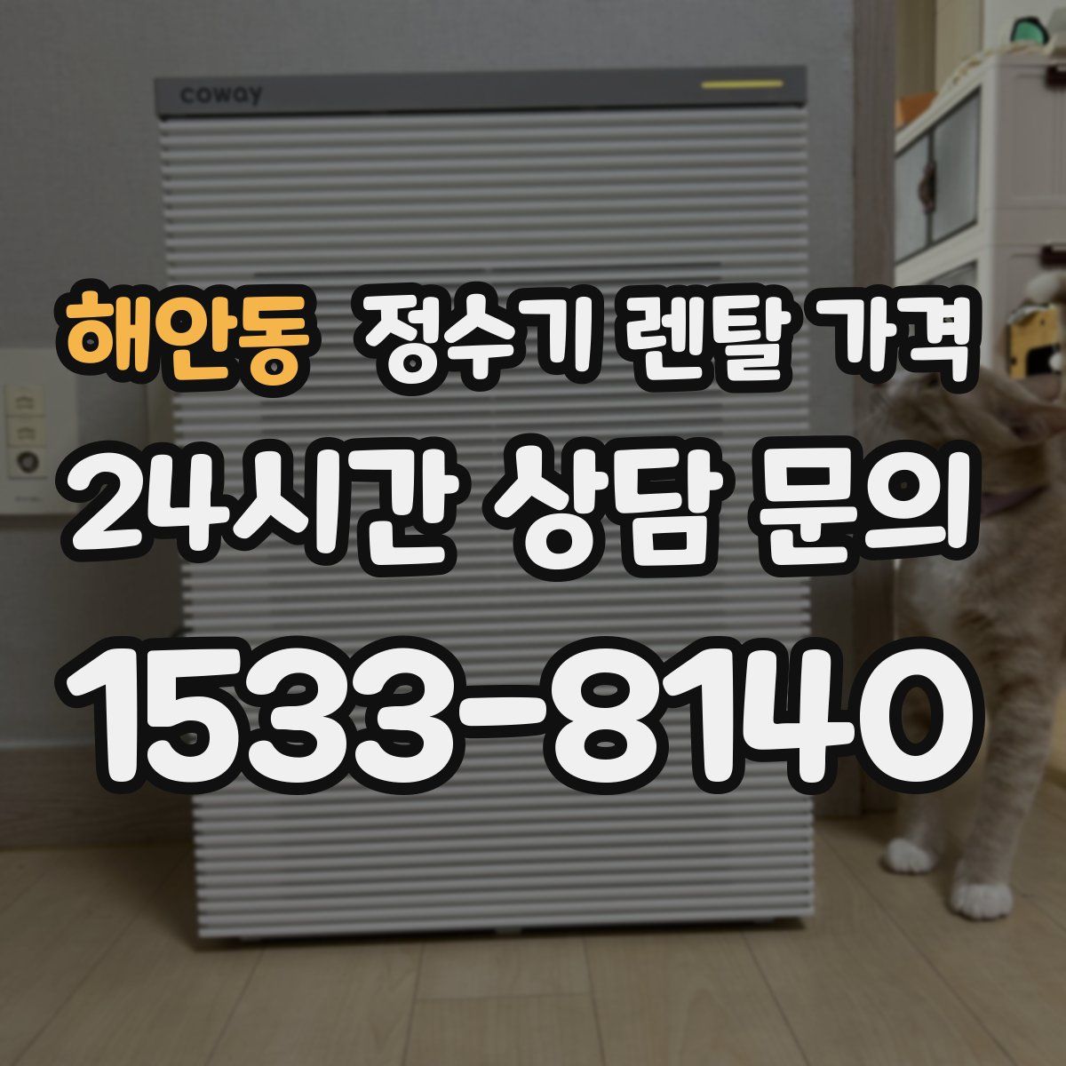 해안동 정수기 렌탈 가격