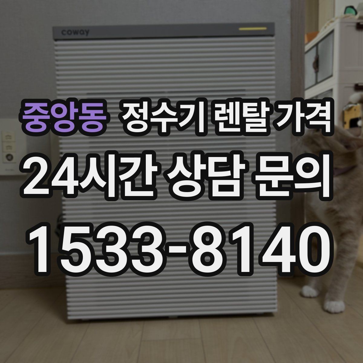 중앙동 정수기 렌탈 가격 사무실 회의실에 어울리는 모델 선택 팁