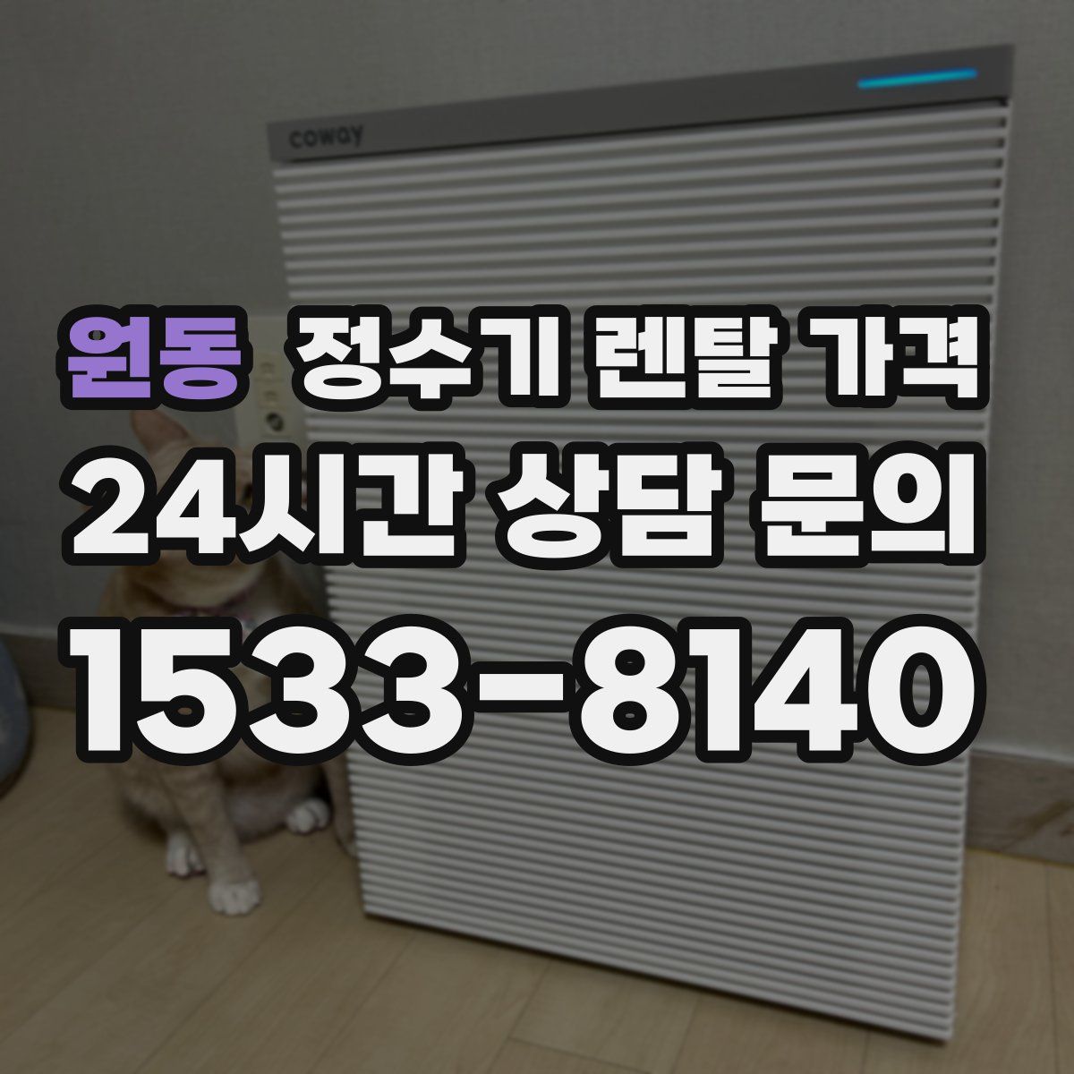원동 정수기 렌탈 가격