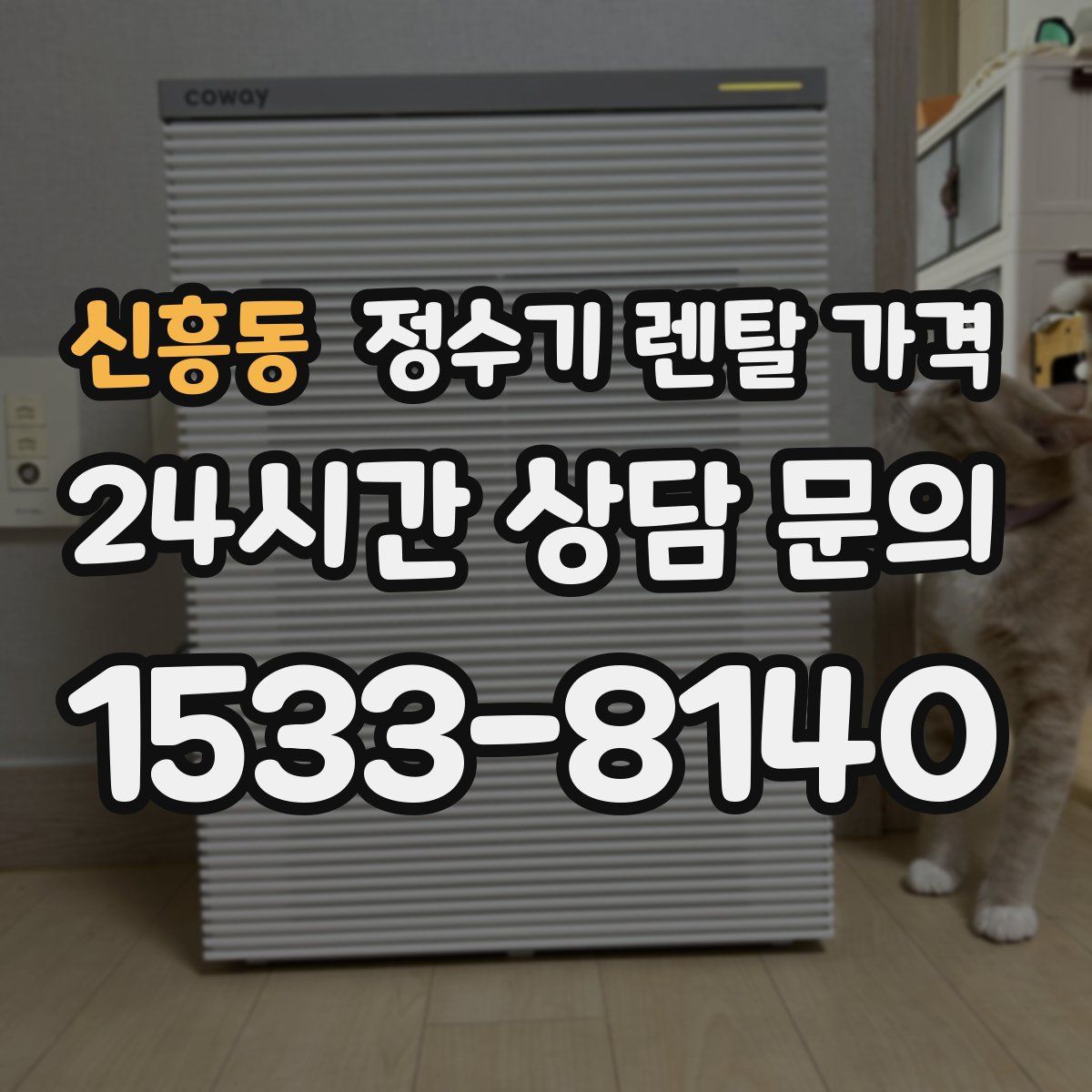 신흥동 정수기 렌탈 가격