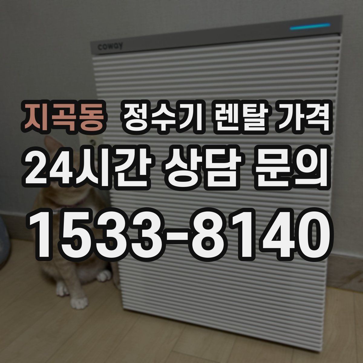 지곡동 정수기 렌탈 가격 사용 편의성 중심으로 고르는 방법