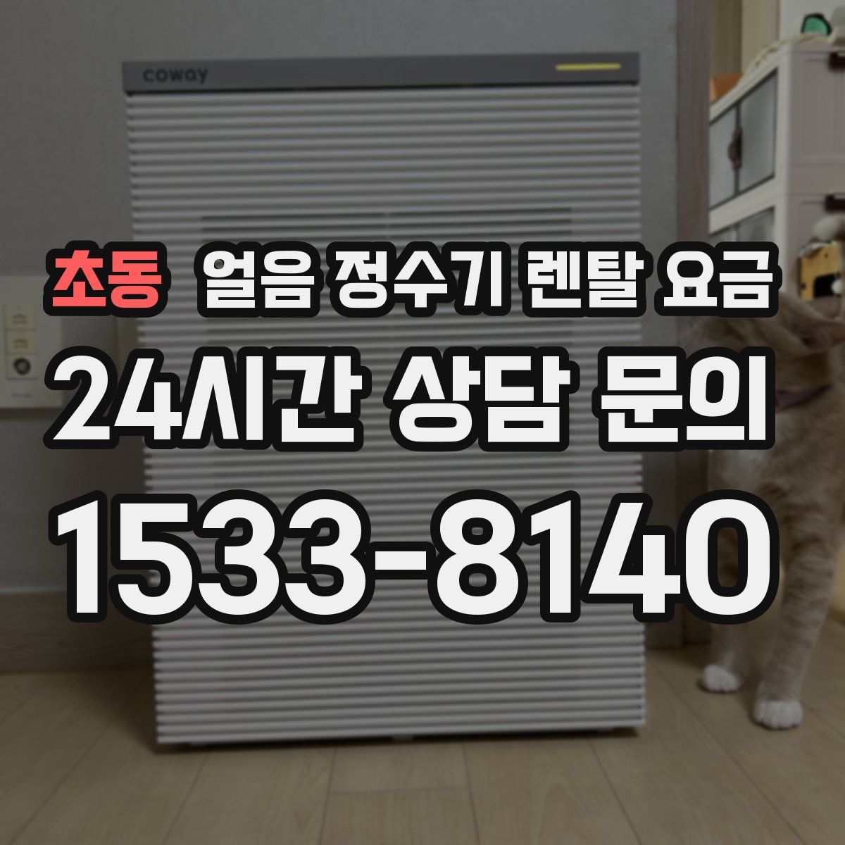 초동 얼음 정수기 렌탈 요금