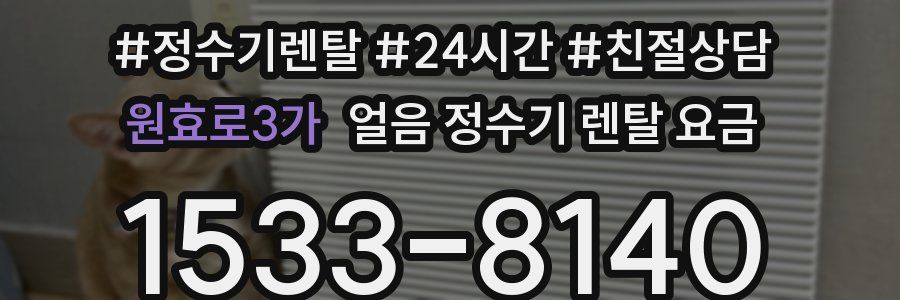 원효로3가 얼음 정수기 렌탈 요금