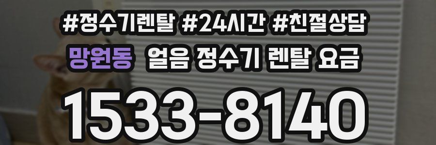 망원동 얼음 정수기 렌탈 요금