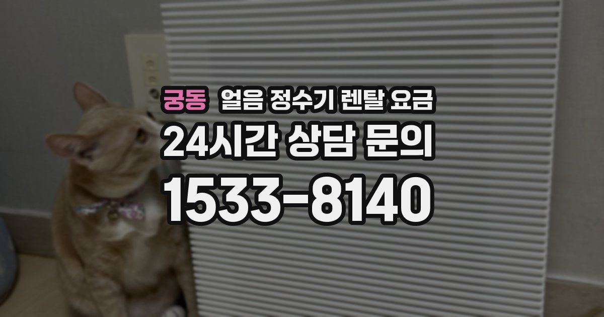 궁동 얼음 정수기 렌탈 요금