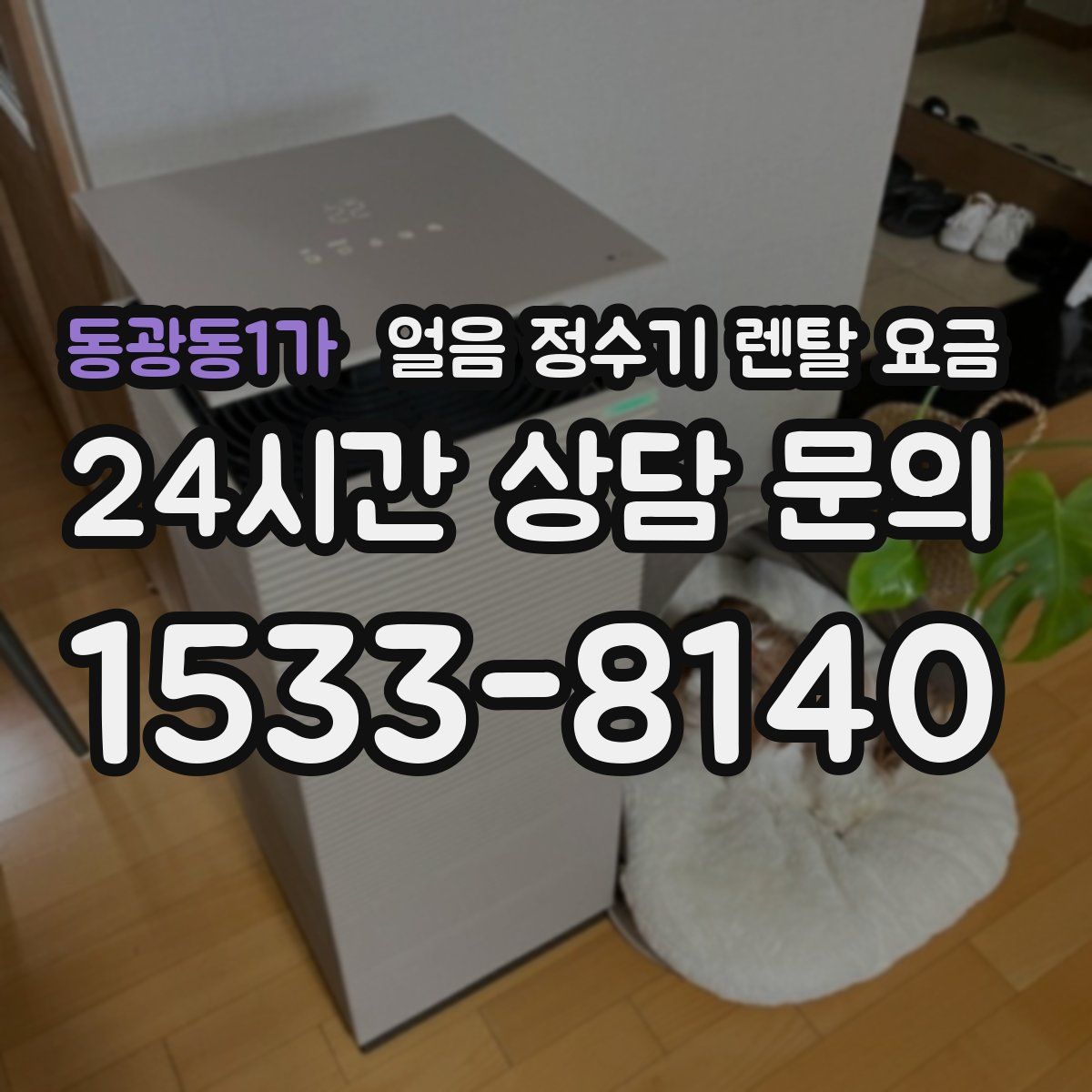 동광동1가 얼음 정수기 렌탈 요금