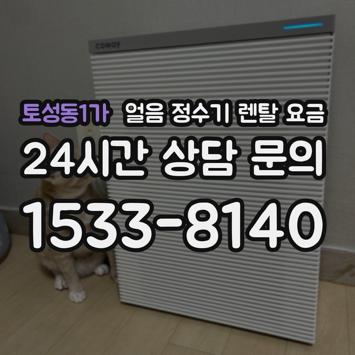 토성동1가 얼음 정수기 렌탈 요금