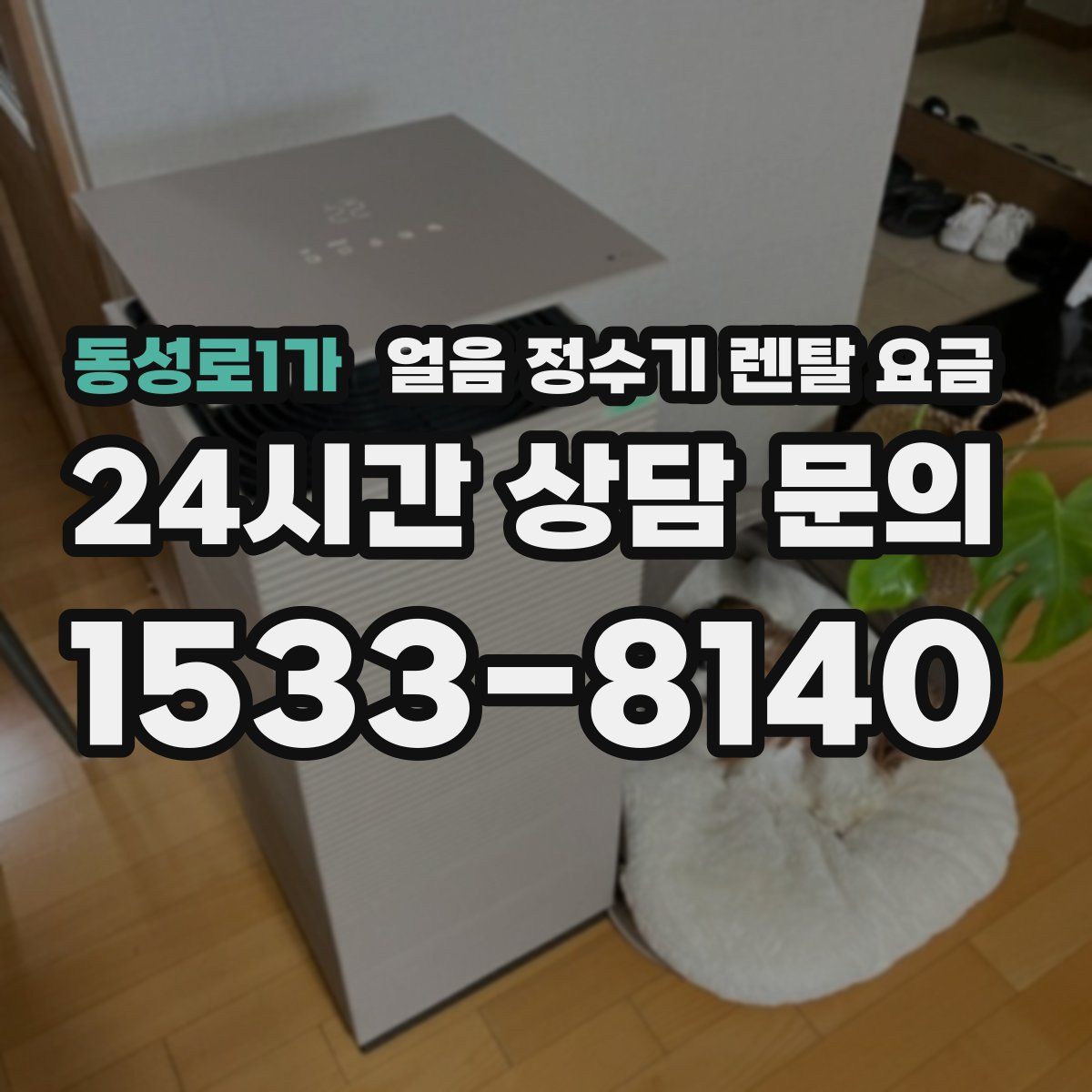 동성로1가 얼음 정수기 렌탈 요금