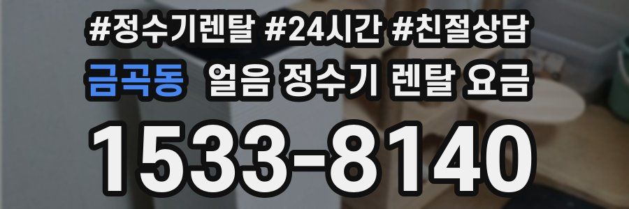 금곡동 얼음 정수기 렌탈 요금