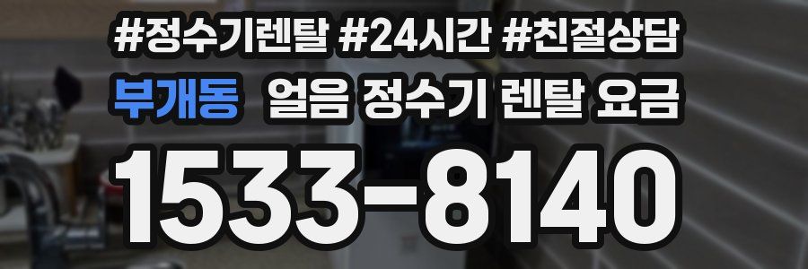 부개동 얼음 정수기 렌탈 요금