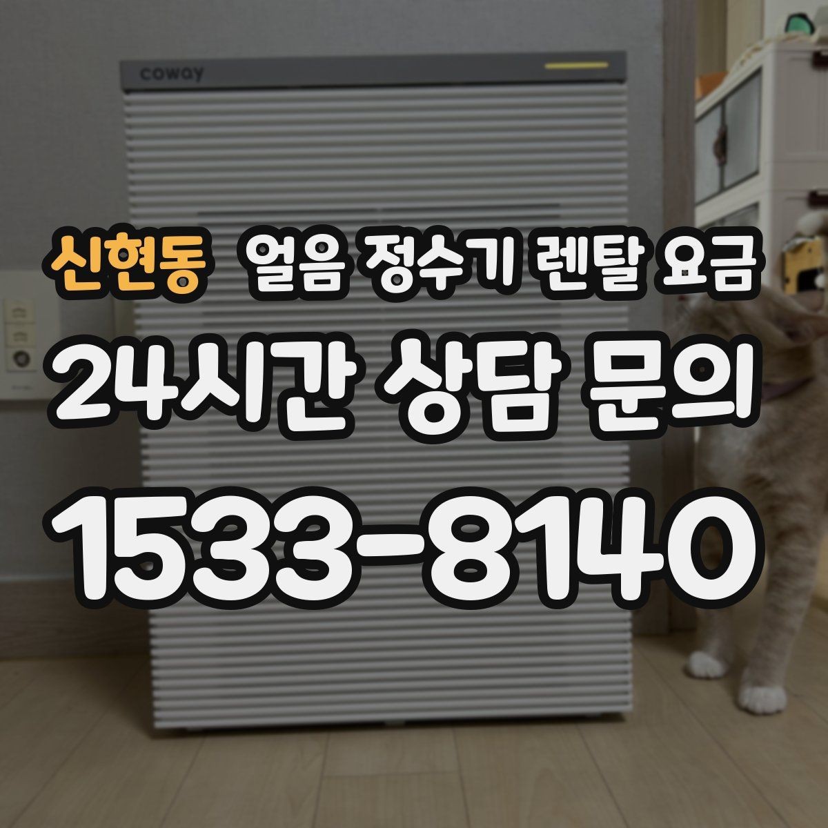 신현동 얼음 정수기 렌탈 요금 관리 편의성이 중요한 이유