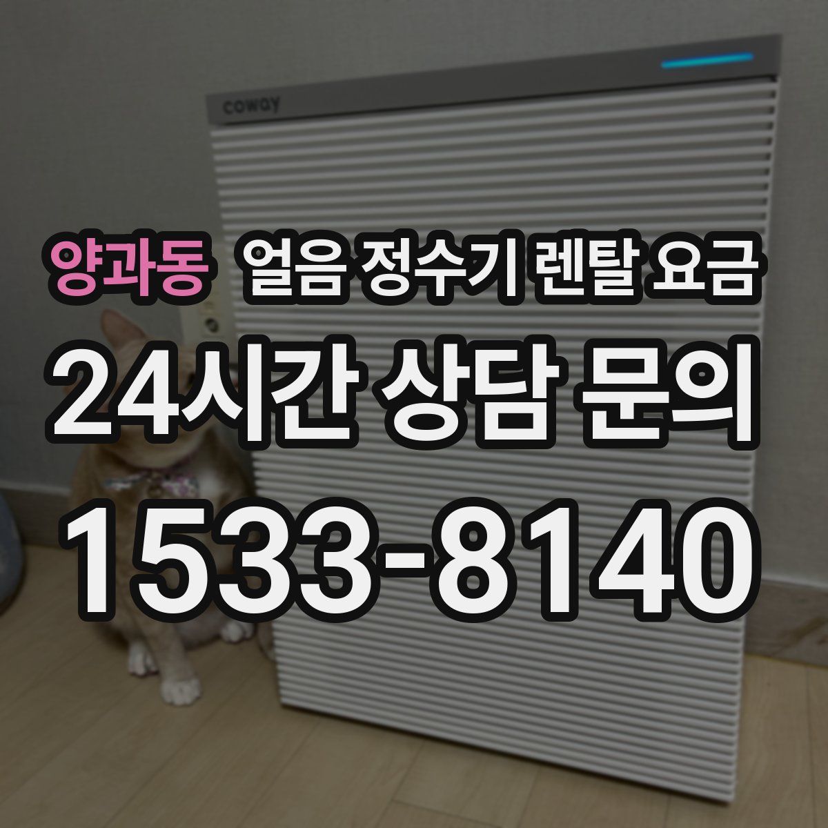 양과동 얼음 정수기 렌탈 요금