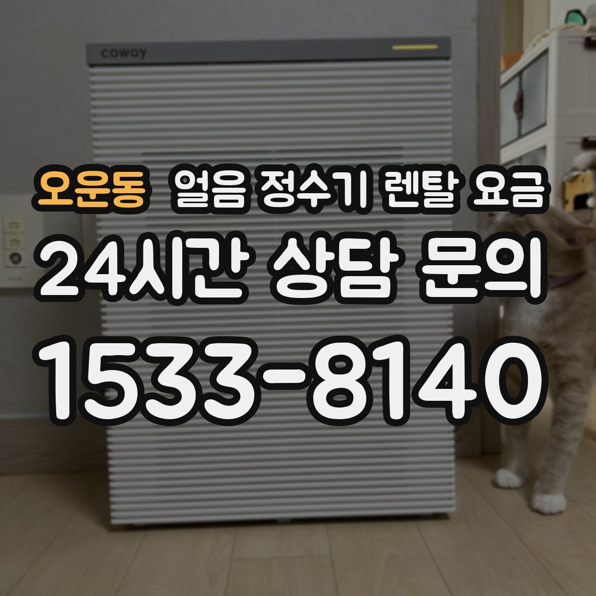 오운동 얼음 정수기 렌탈 요금