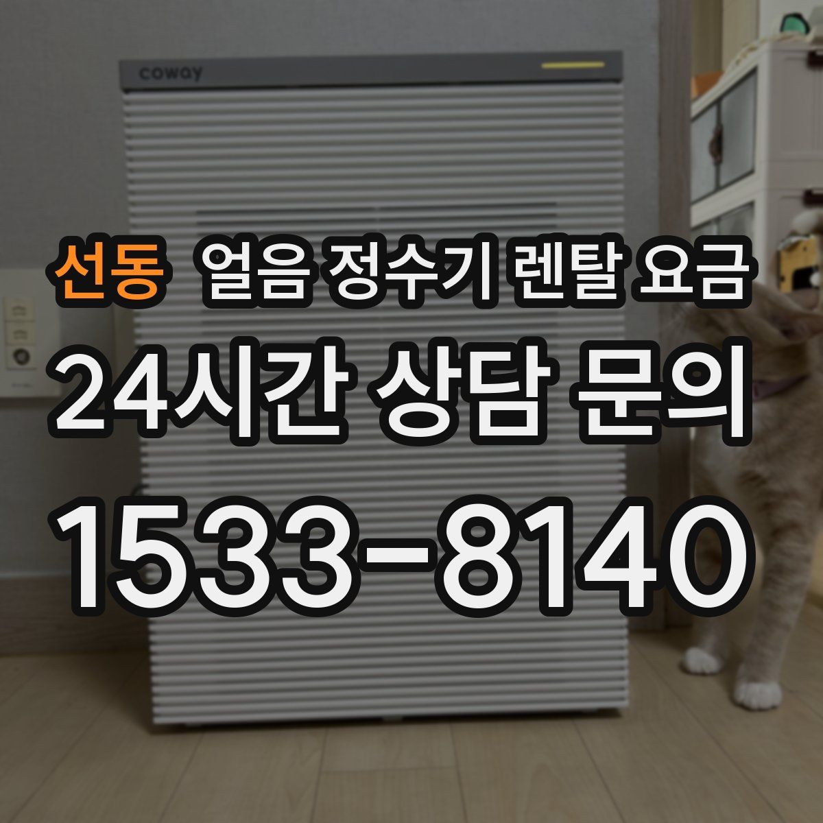 선동 얼음 정수기 렌탈 요금